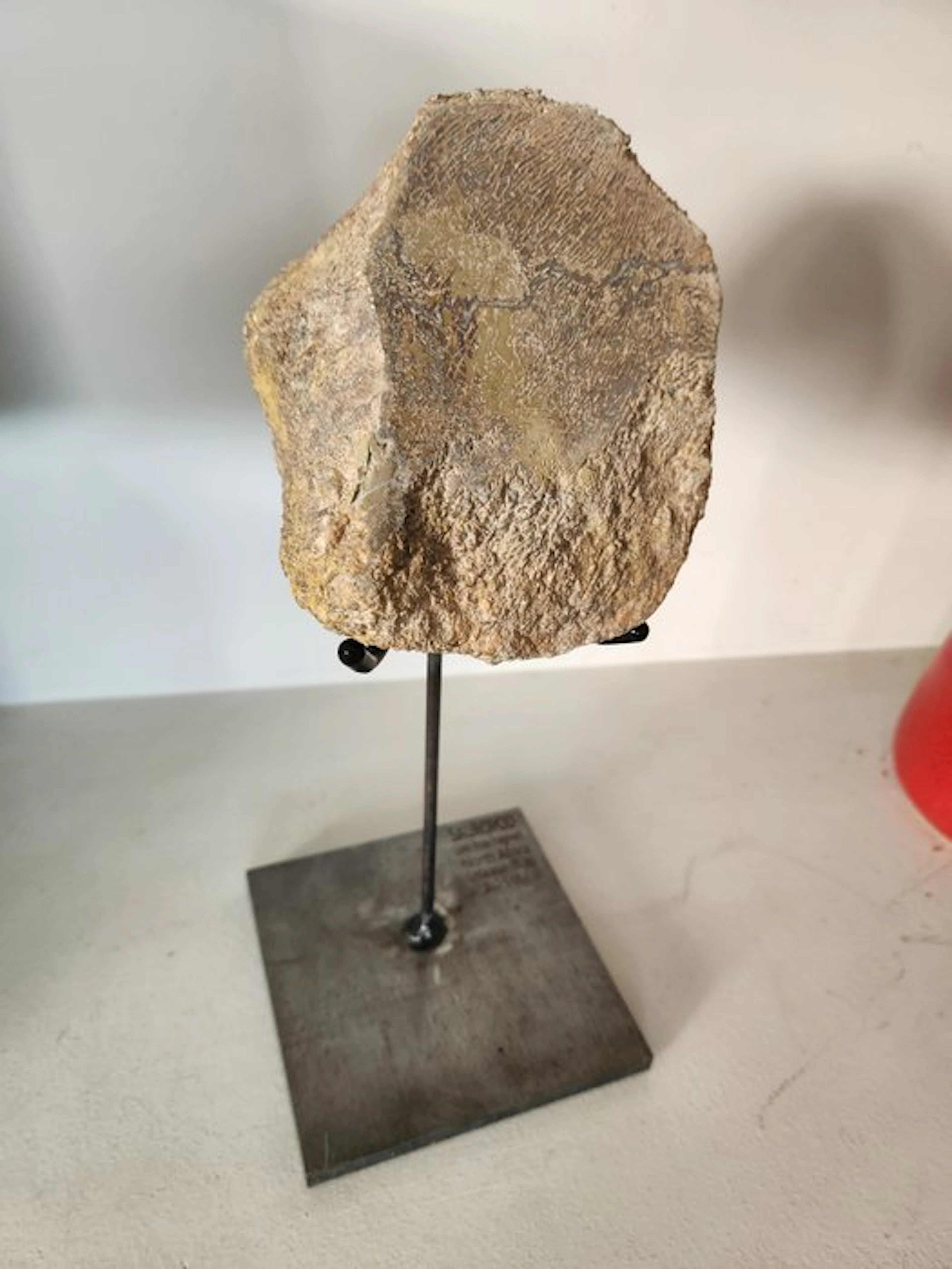 Sauropod - Fossil fragment - 20 cm - 15 cm (No reserve price)
