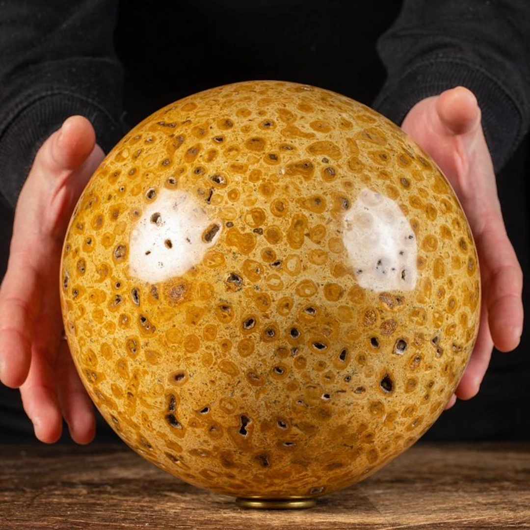 Magnificent Fossil Coral Sphere - Height: 200 mm - Width: 200 mm- 10.06 kg
