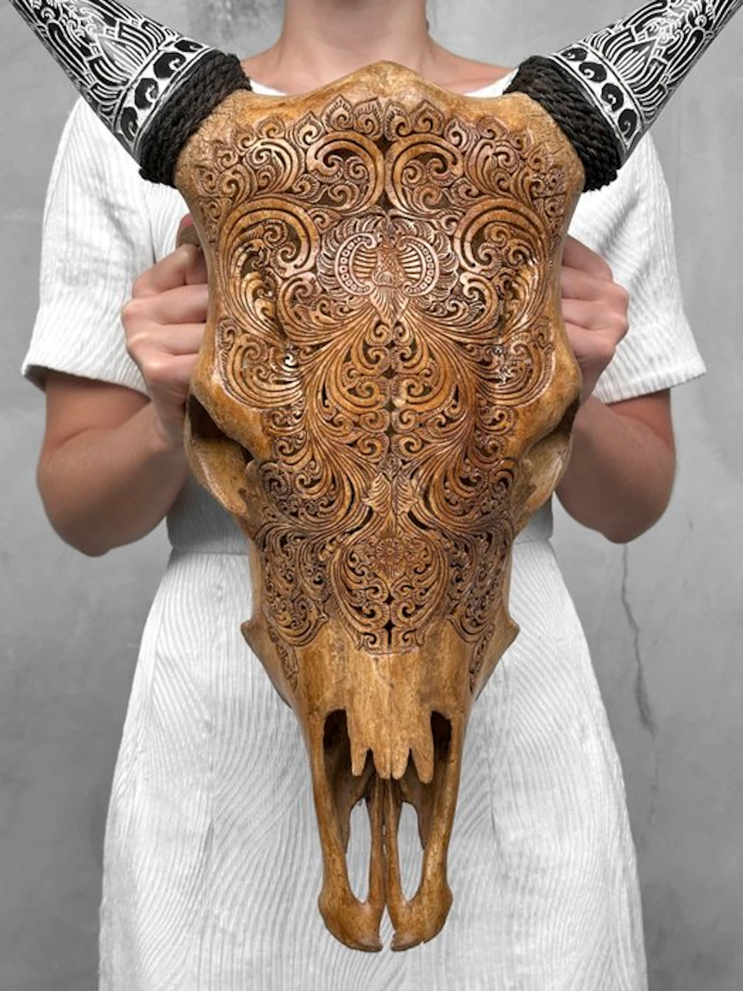 NO RESERVE PRICE - Authentic Brown Cow Skull with...