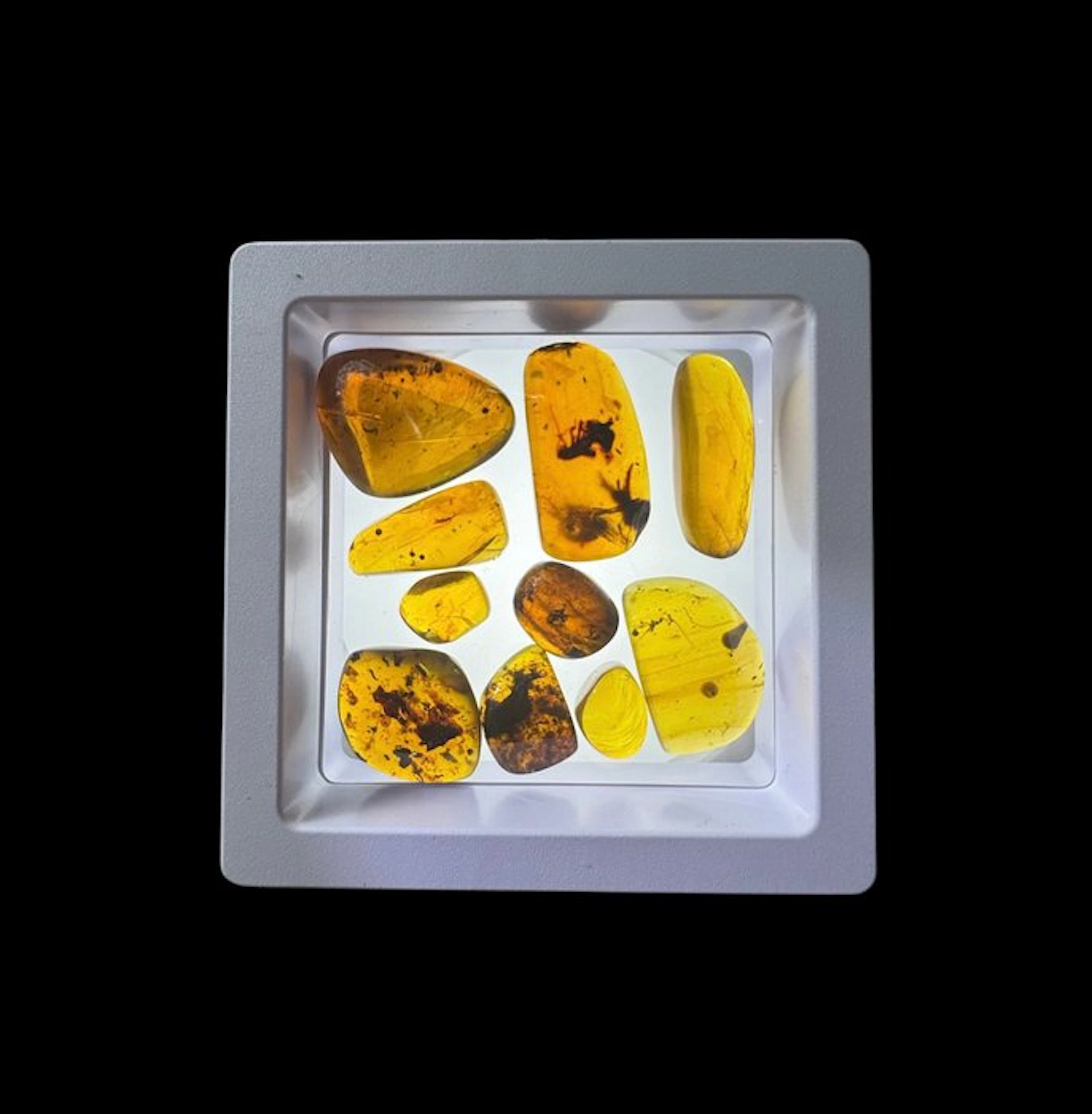 Burmese amber - Amber - Burmese Amber – Collection of 10...