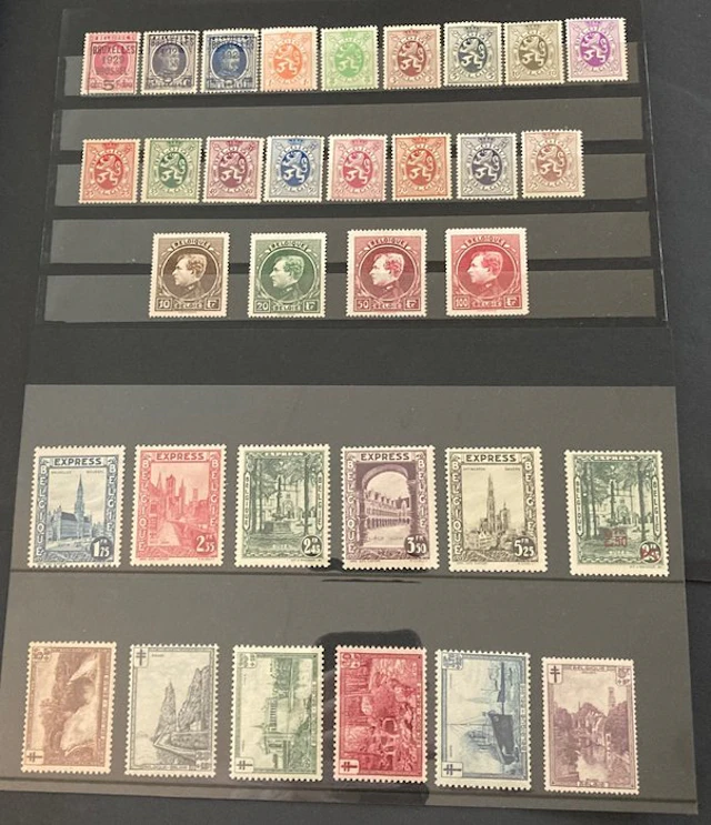 Belgium 1929 - Complete year’s issue featuring Grote Montenez