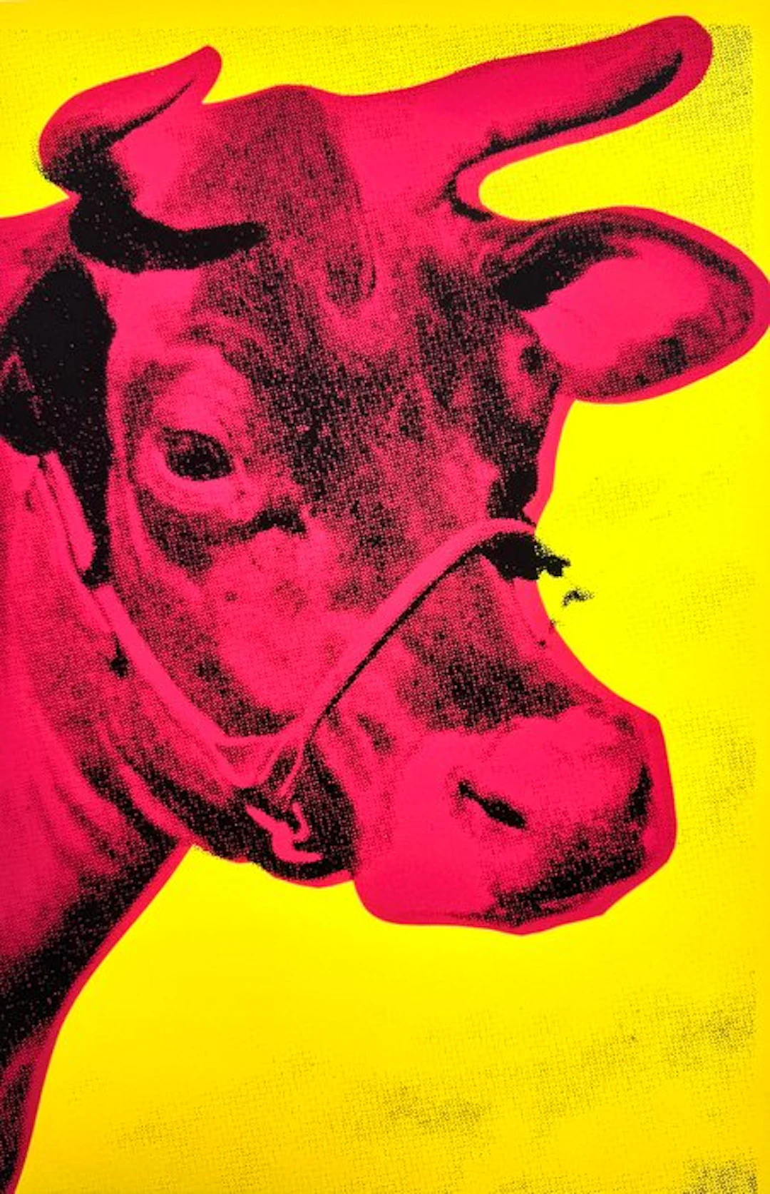 Andy Warhol (after) - Cow (red and yellow) - Offset...