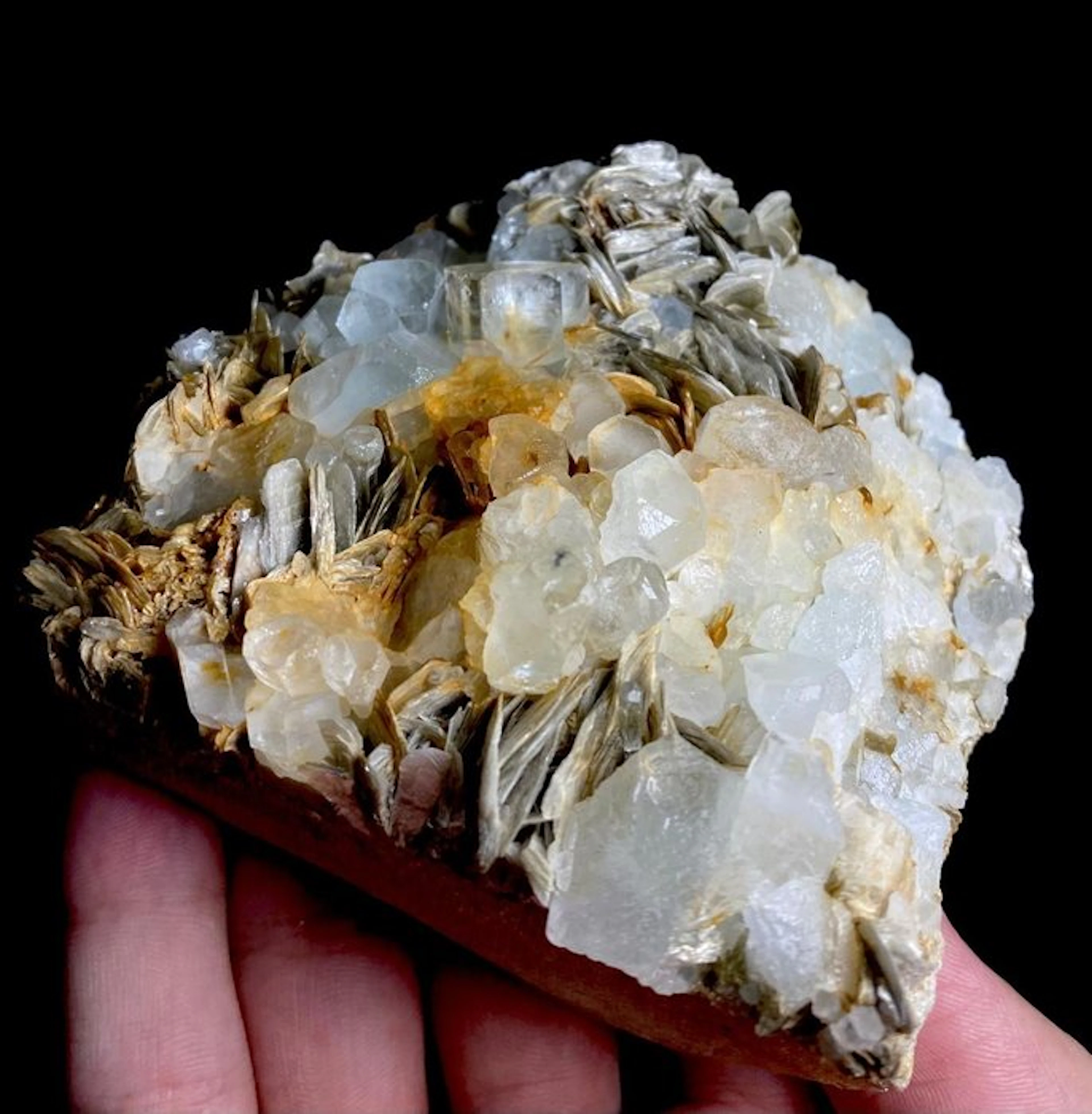 Specimen - Height: 95 mm - Width: 54 mm- 671 g