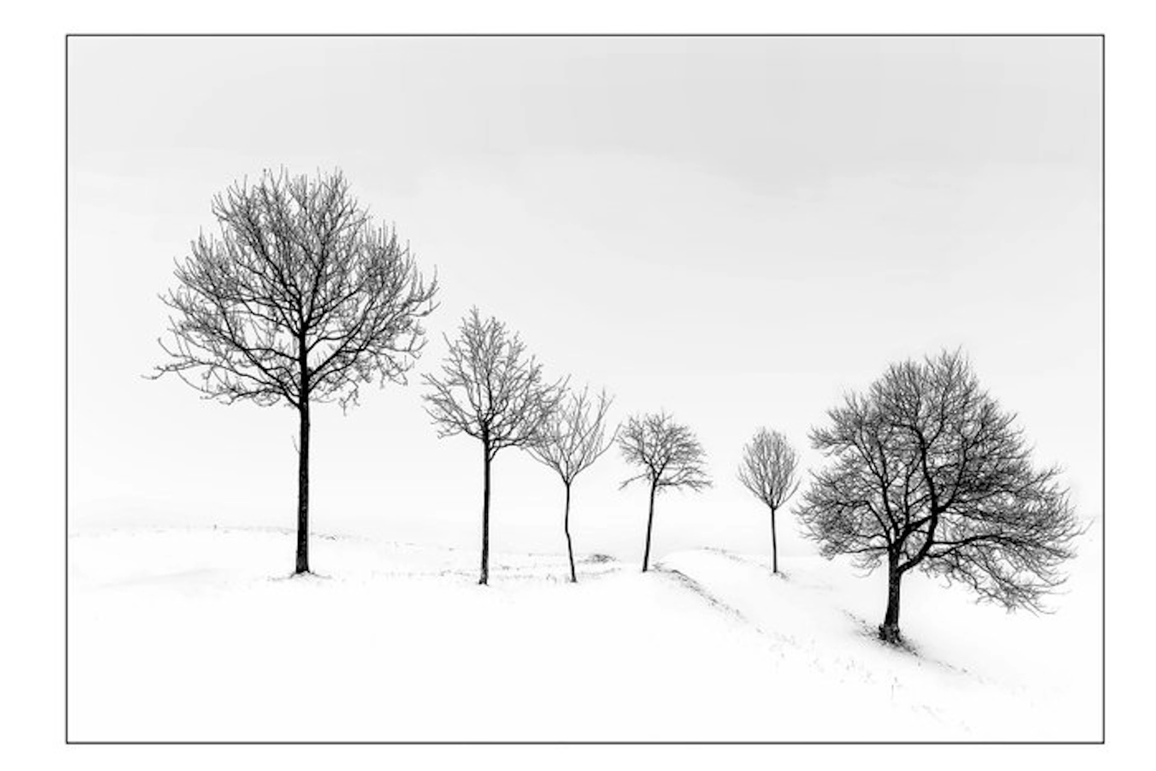 Sergio Sberna - paesaggio invernale