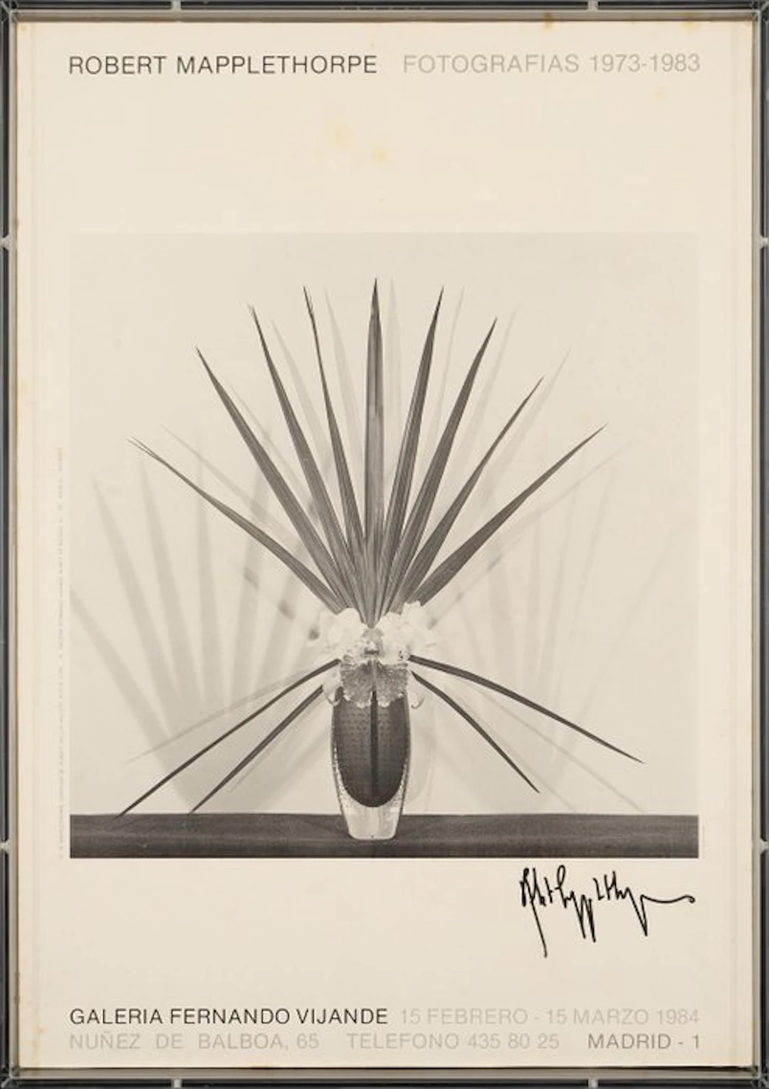 Robert Mapplethorpe (1946–1989) - Signed - Original Art...
