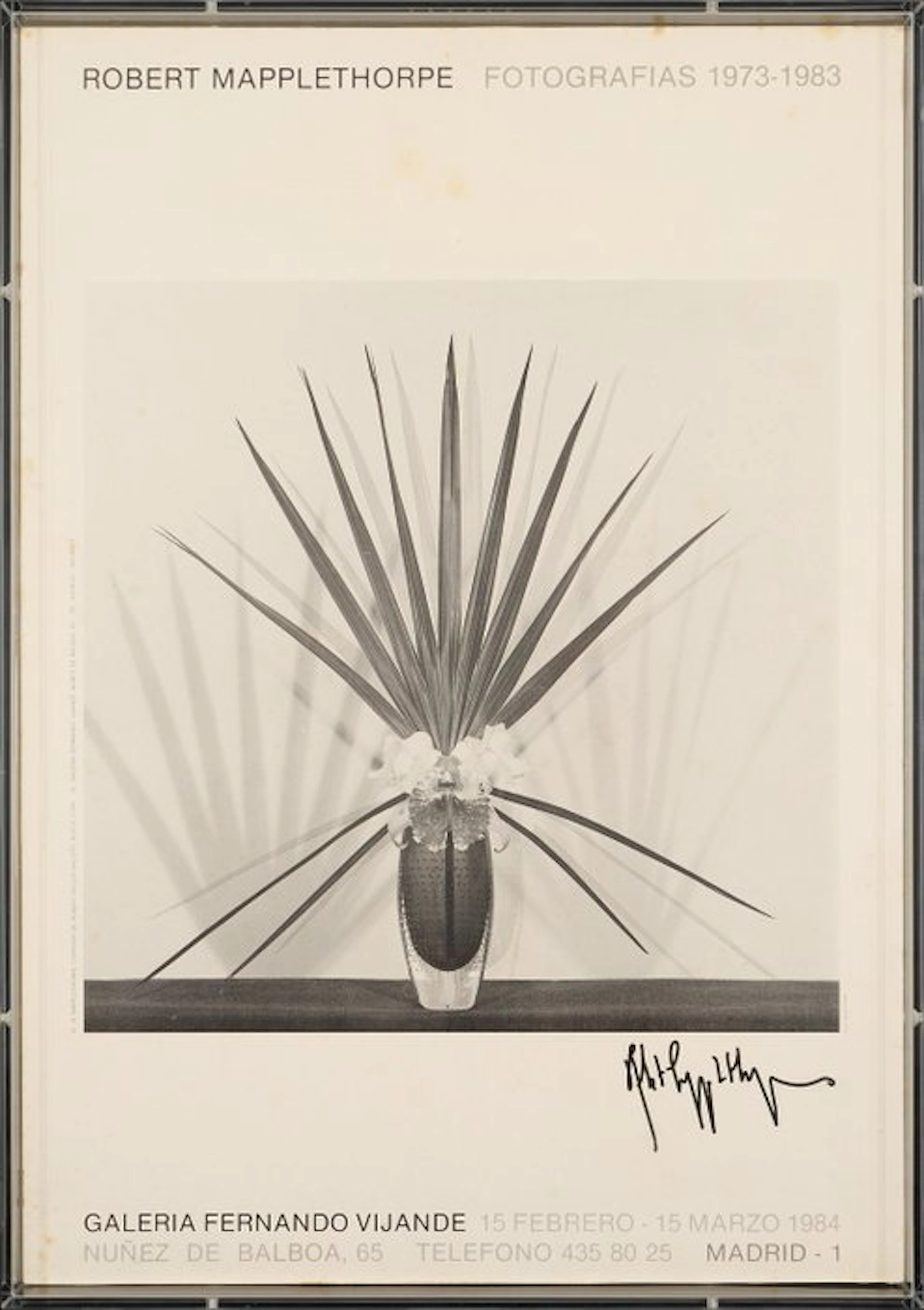 Robert Mapplethorpe (1946–1989) - Signed - Original Art...