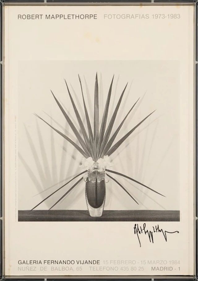 Robert Mapplethorpe (1946–1989) - Signed - Original Art...