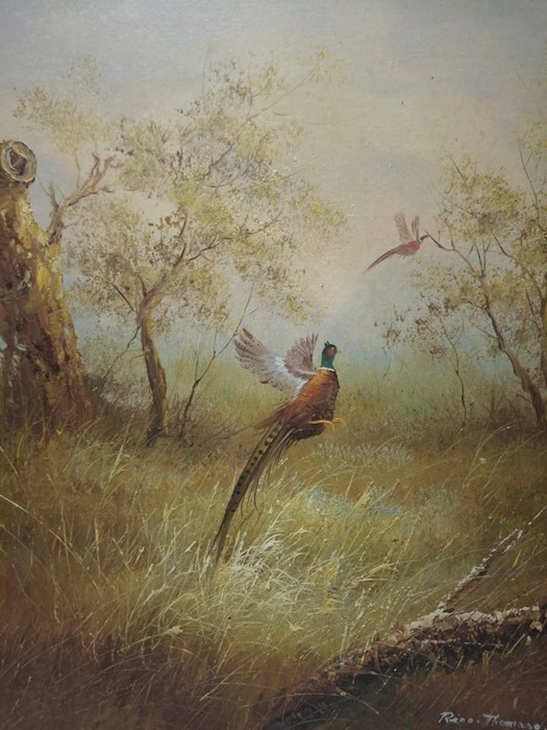 Rico Tomaso (1898-1985) - Opvliegende fazant