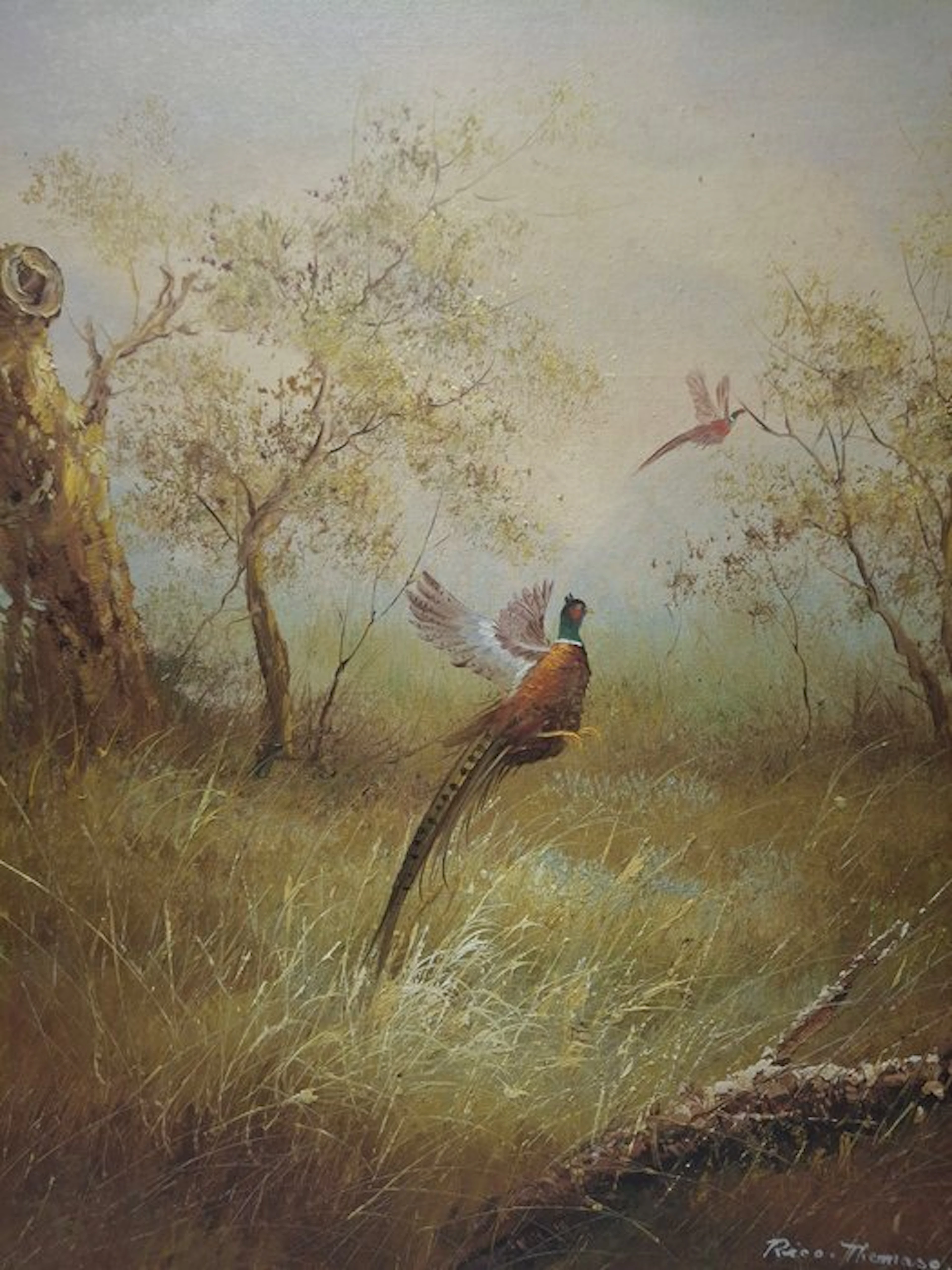 Rico Tomaso (1898-1985) - Opvliegende fazant