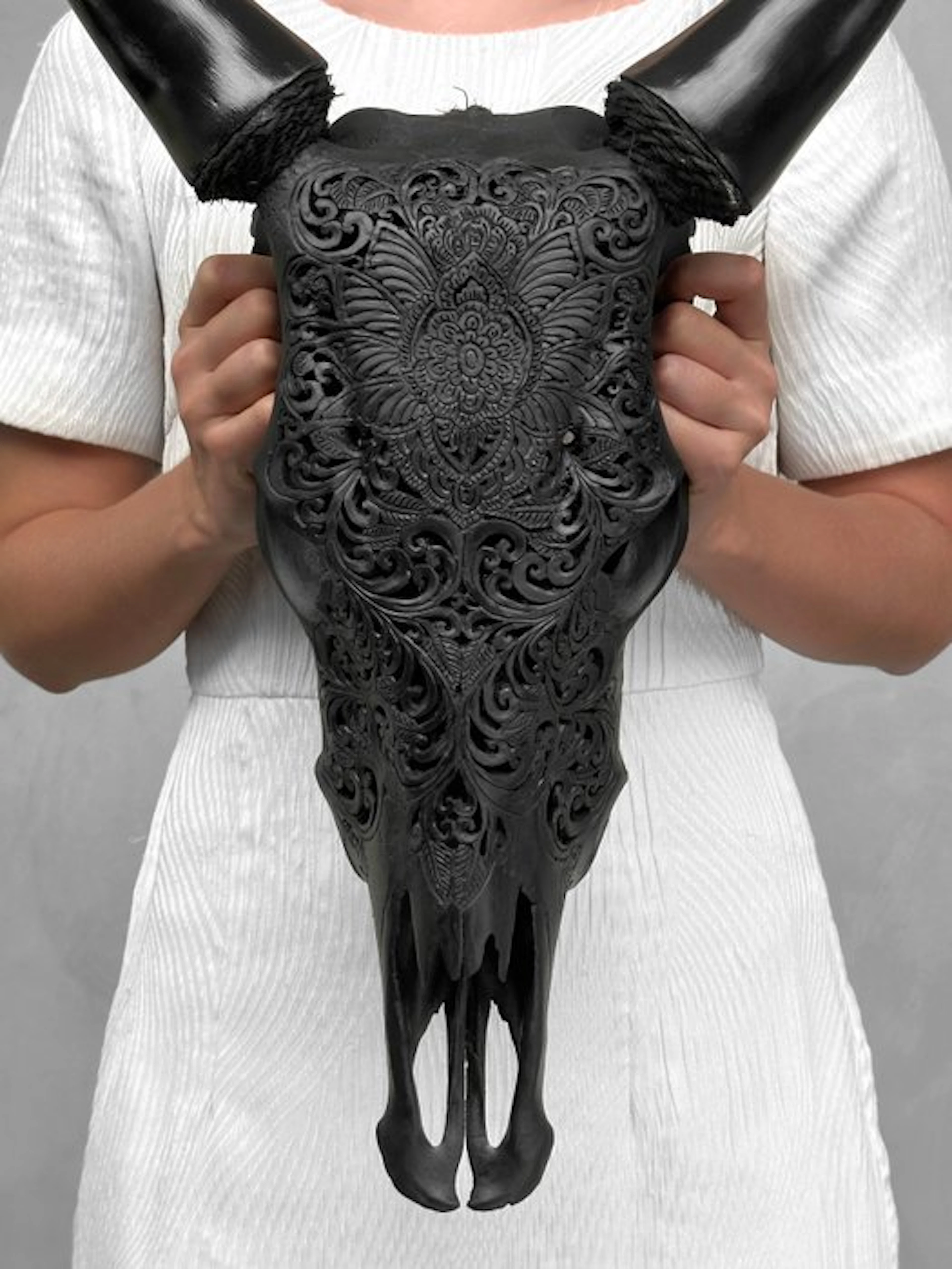 NO RESERVE PRICE - Authentic Black Hand Carved Cow Skull...