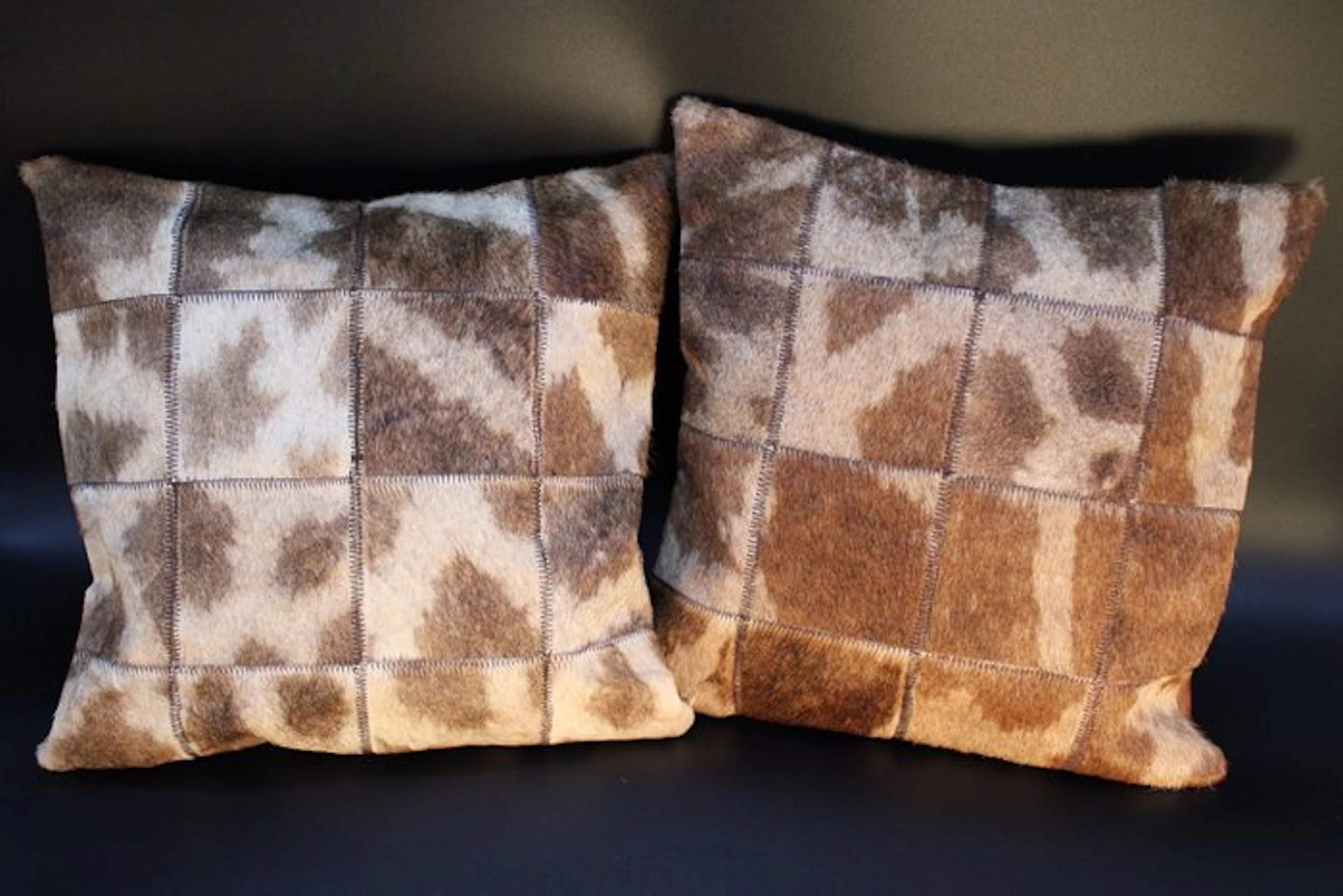Giraffe Study skin - Giraffa Camelopardalis - 40 cm - 40...