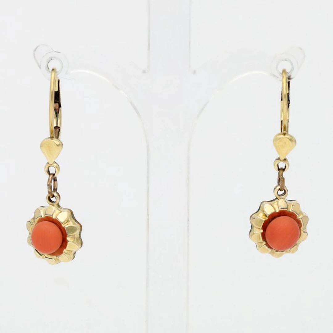 No reserve price - Earrings - 14 kt. Yellow gold