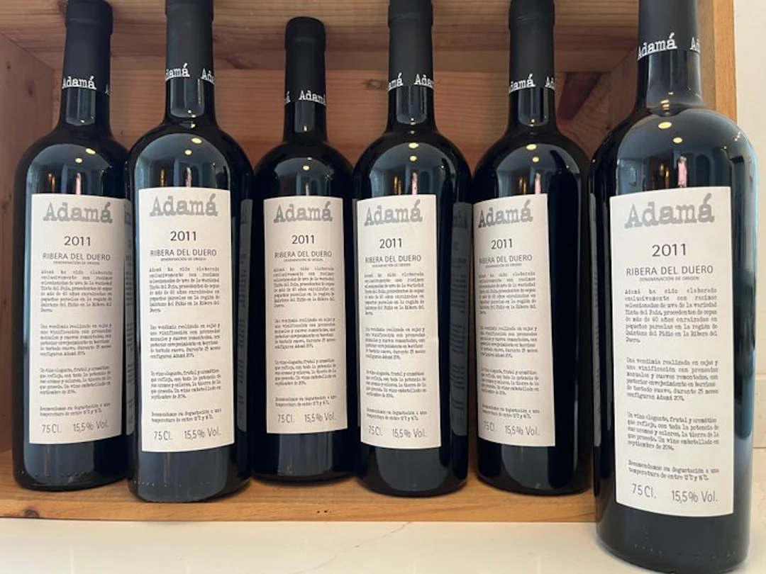 2011 Adamá - Ribera del Duero - 6 Bottles (0.75L)