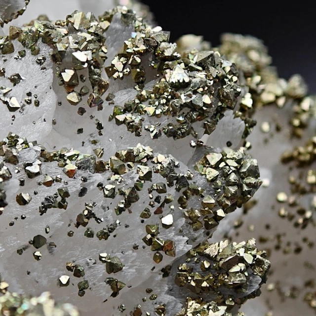 1000+ GOLD MARCASITE on WHITE CALCITE! SARDINIA Crystals...