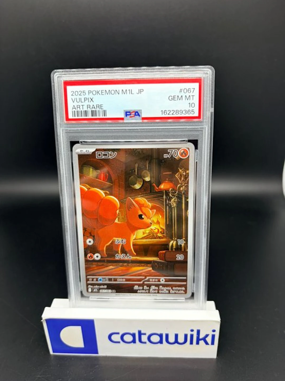 Pokémon - 1 Graded card - Vulpix - 067/063 - PSA 10...