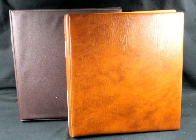 Israel - Mint collection in two Lindner foldless pre-printed albums