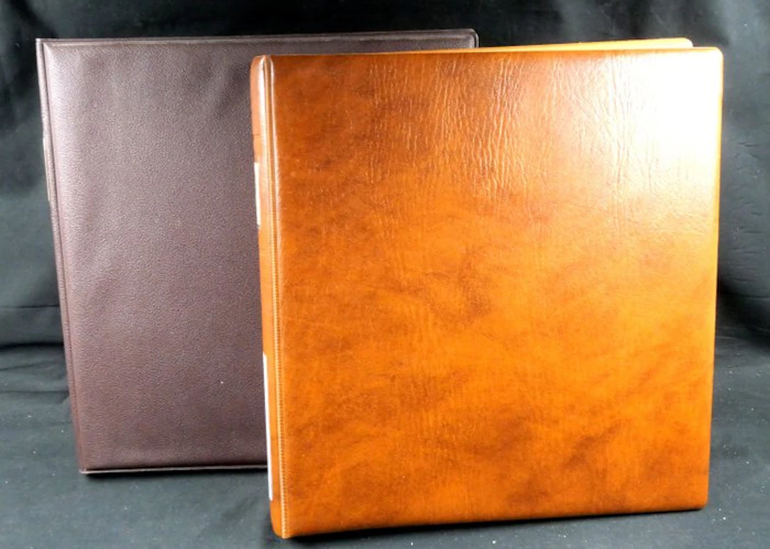 Israel - Mint collection in two Lindner foldless pre-printed albums