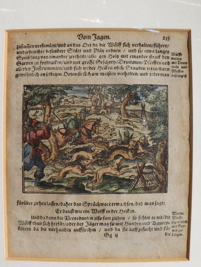 Jost Amman (1539-1591) - Es handelt sich um ein original französisches bzw