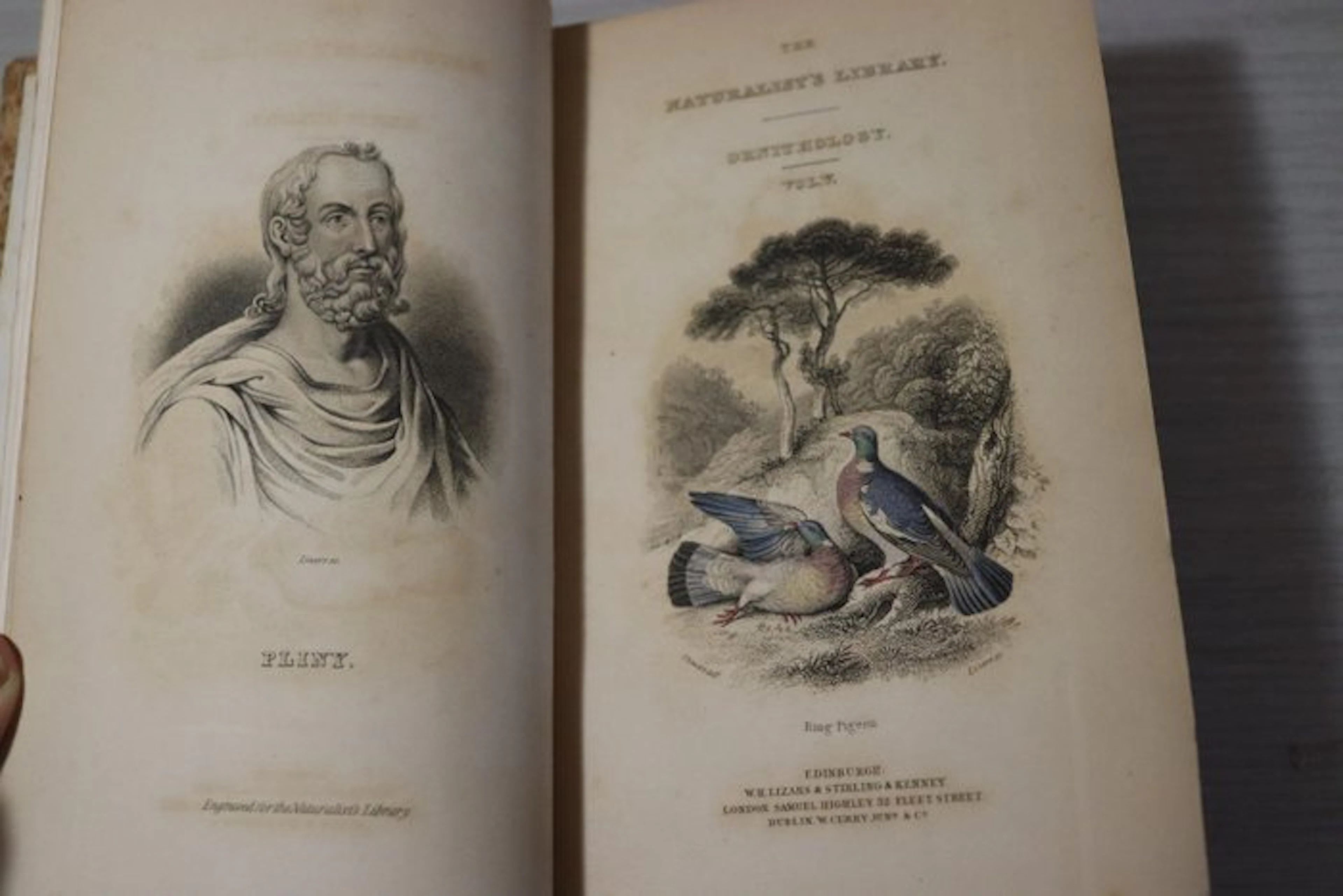 Prideaux John Selby - The Naturalist's Library
