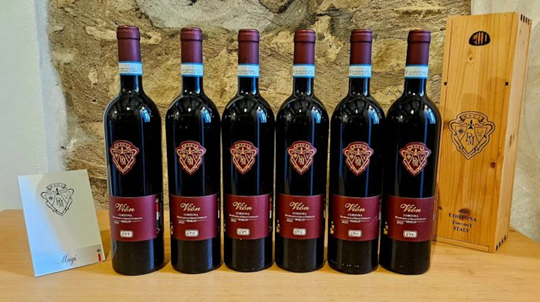 2023 Paolo Magi, Vion Merlot Cortona - Tuscany - 6 Bottles (0.75L)