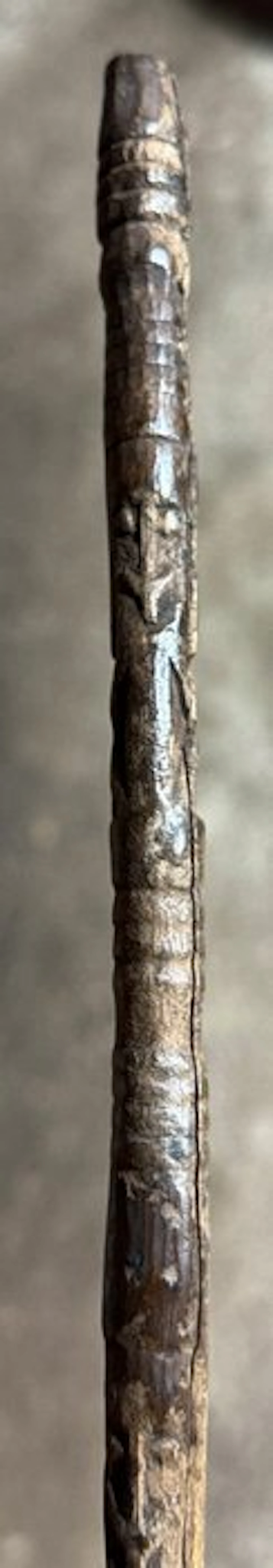 Aged amulet Waropen coast - geelvinkbay - west Papua (No reserve price)