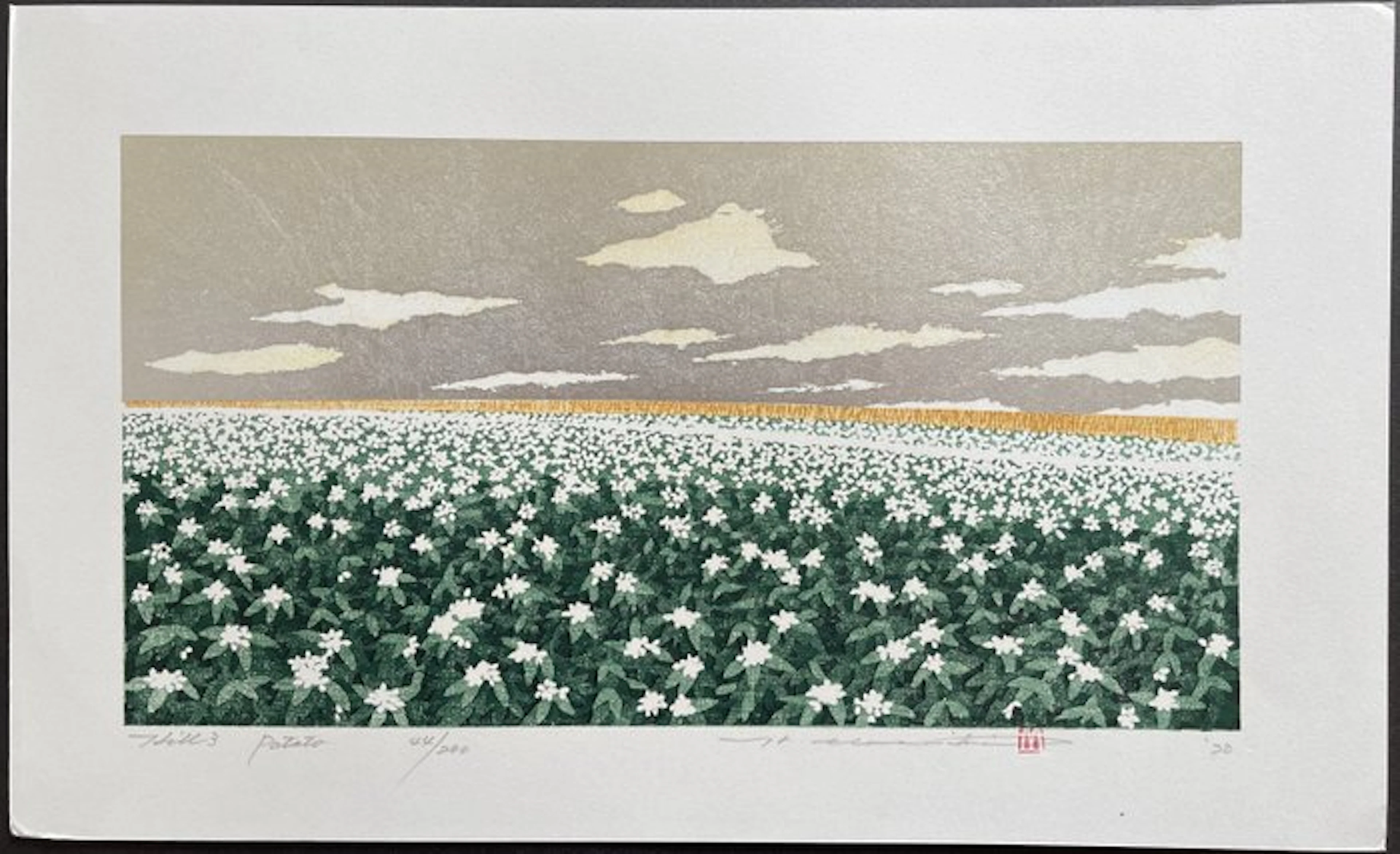 Hill-3 Potato - Hajime Namiki 並木一 (b 1947) - Japan (No reserve price)