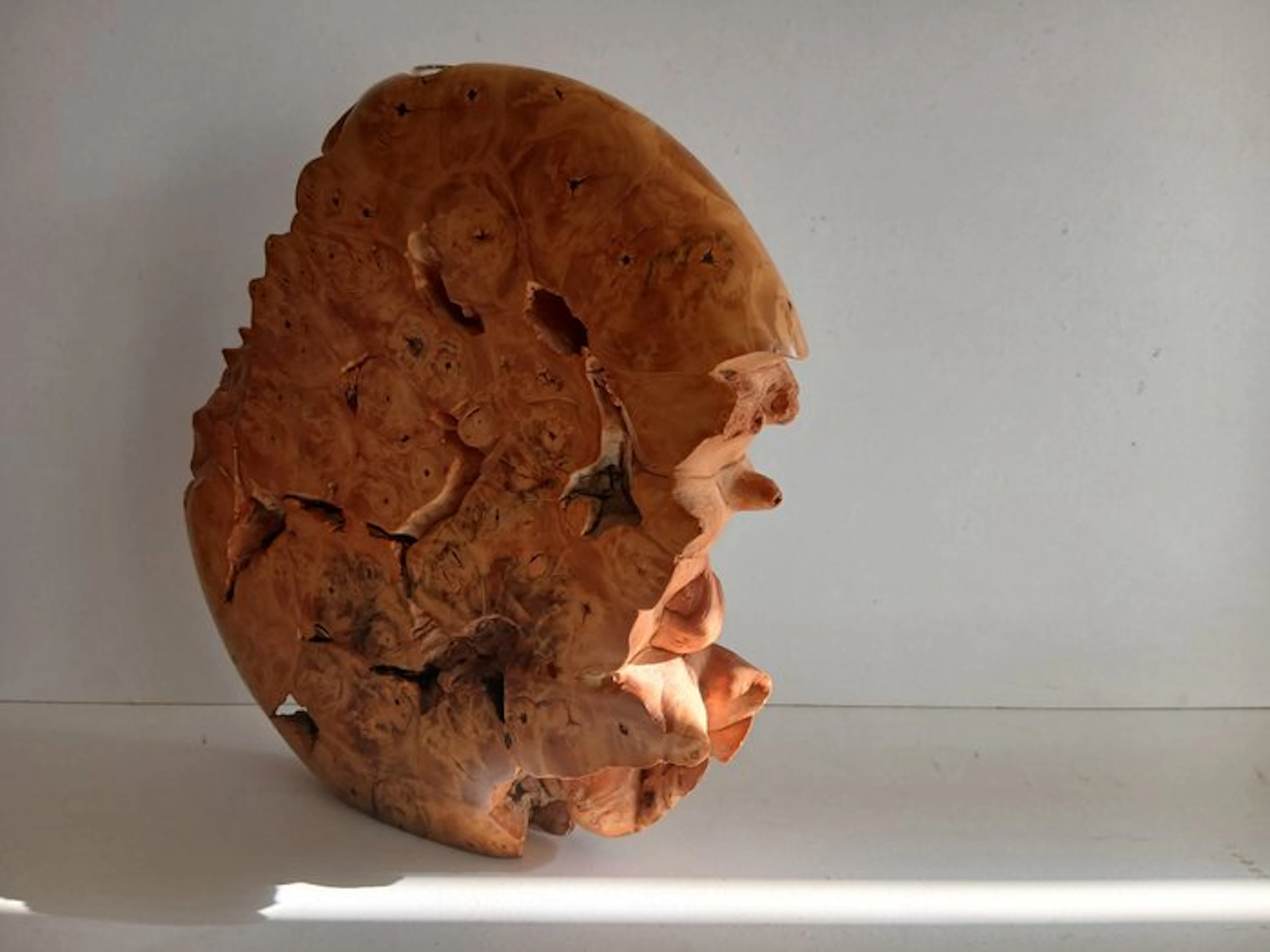 Kunstenaar Warren Vienneau - Vase - Maple root tuber wood