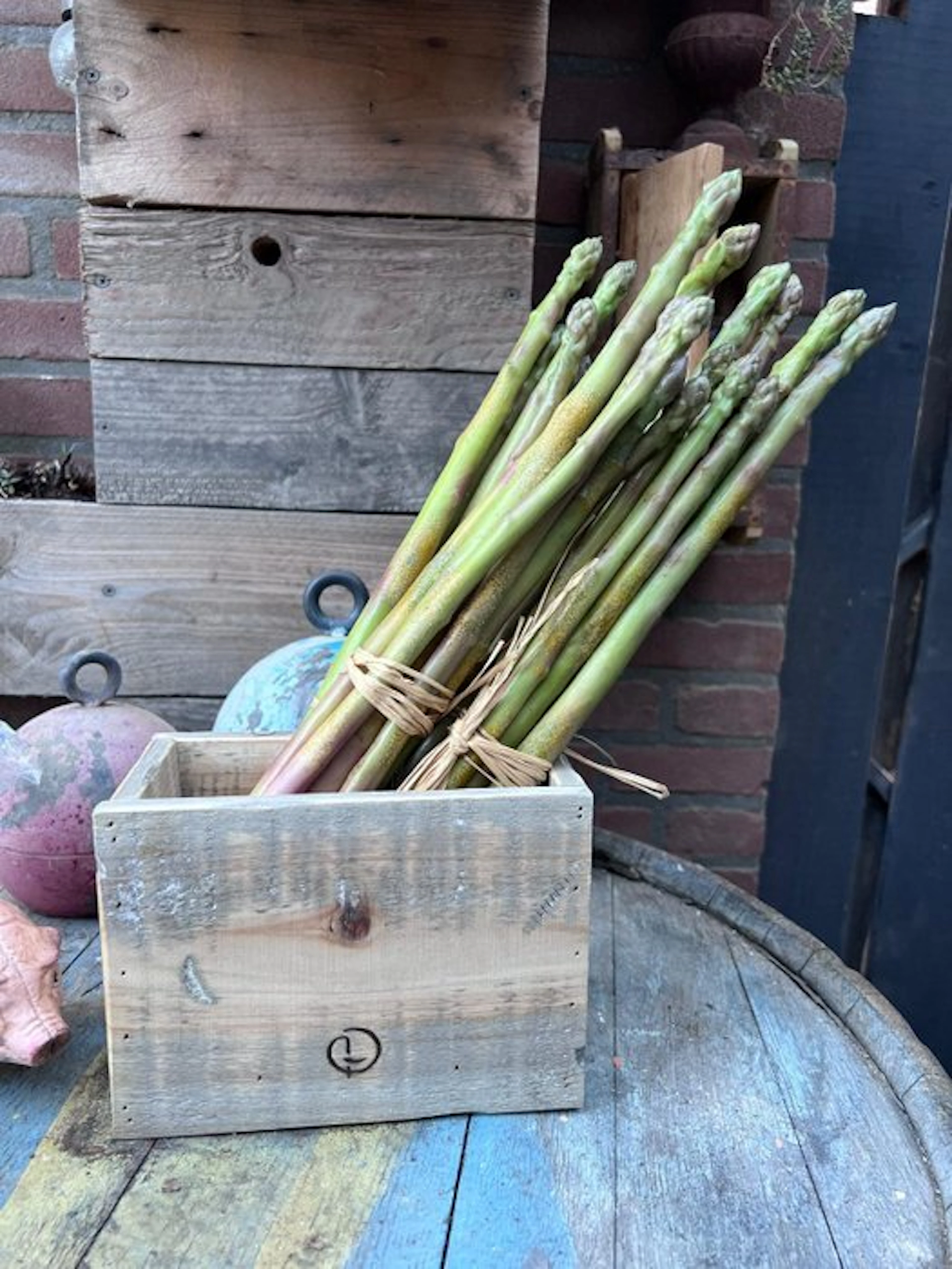 Decorative ornament (4) - Europe - Decorative asparagus