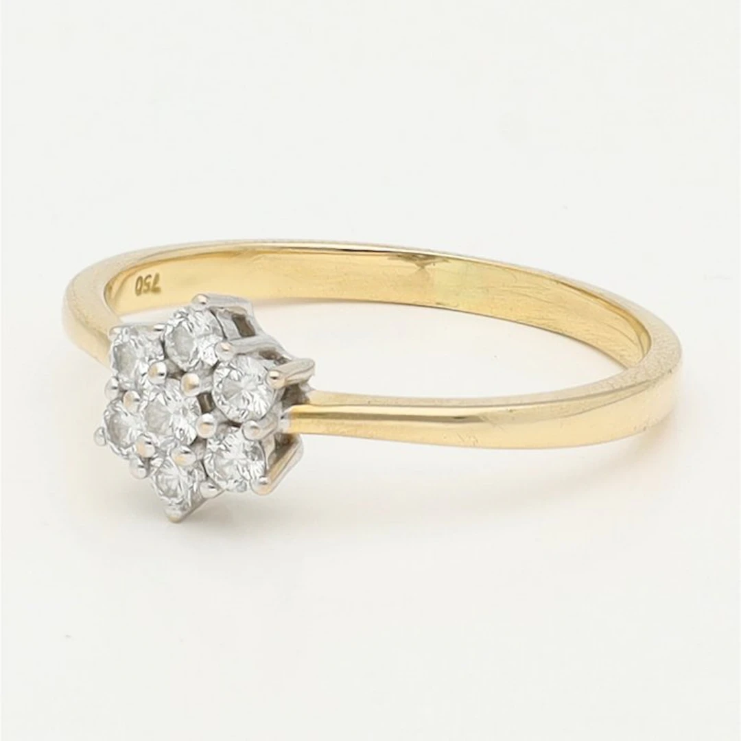 Ring - 18 kt. Yellow gold, White gold Diamond (Natural) - Rozetring