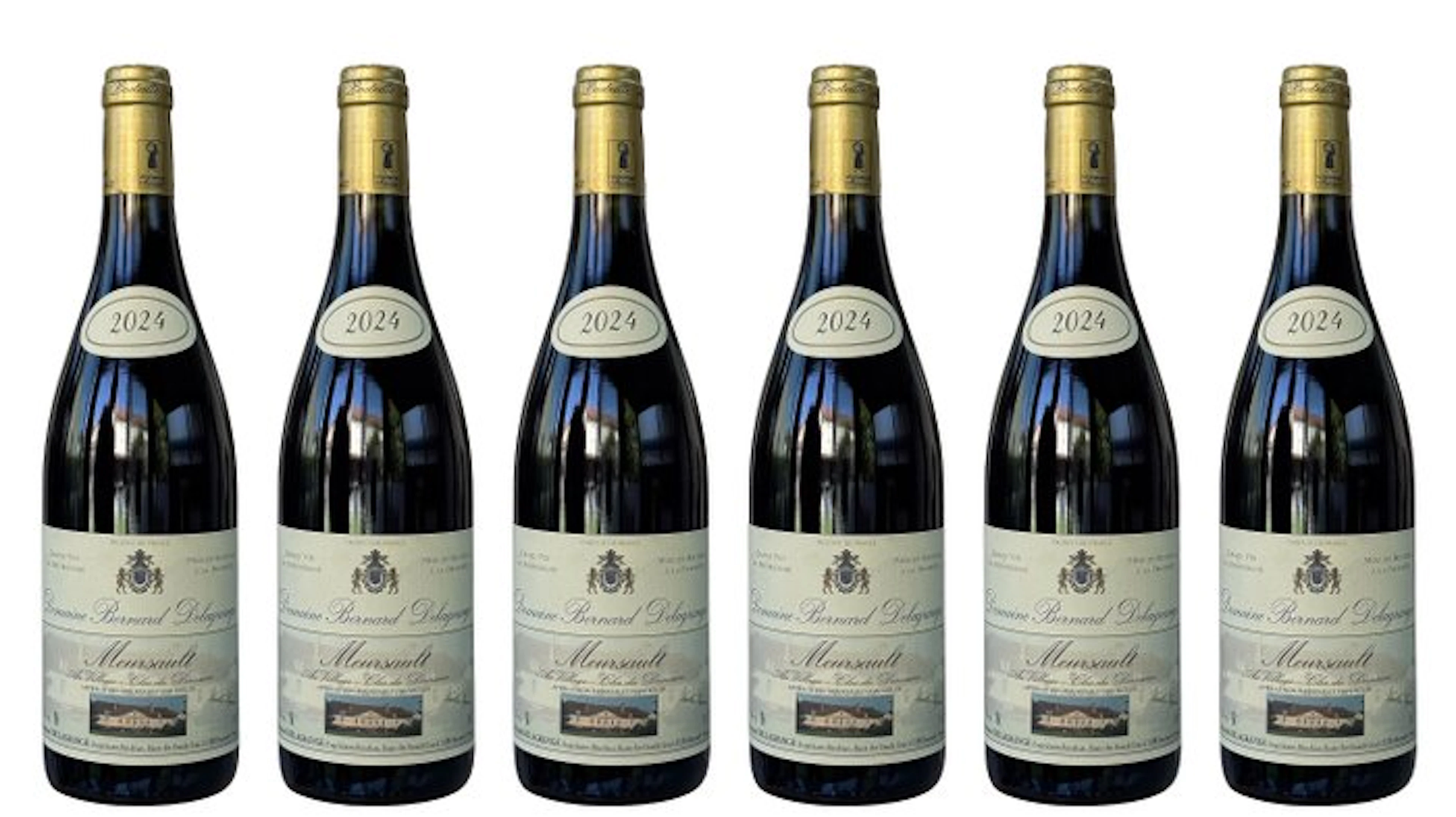 2024 Domaine Bernard Delagrange - "Au Village - Clos du...