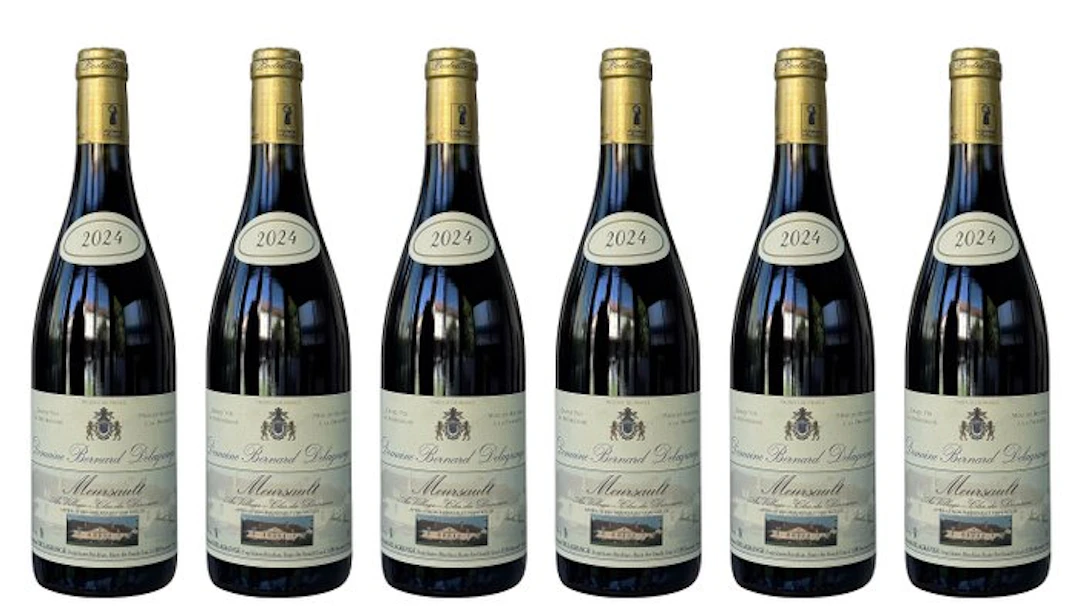2024 Domaine Bernard Delagrange - "Au Village - Clos du...
