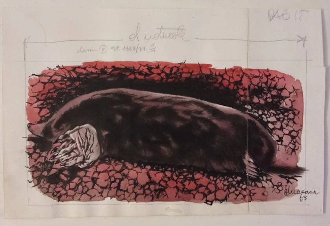 Hausman, René - 1 Original colour drawing - Journal...