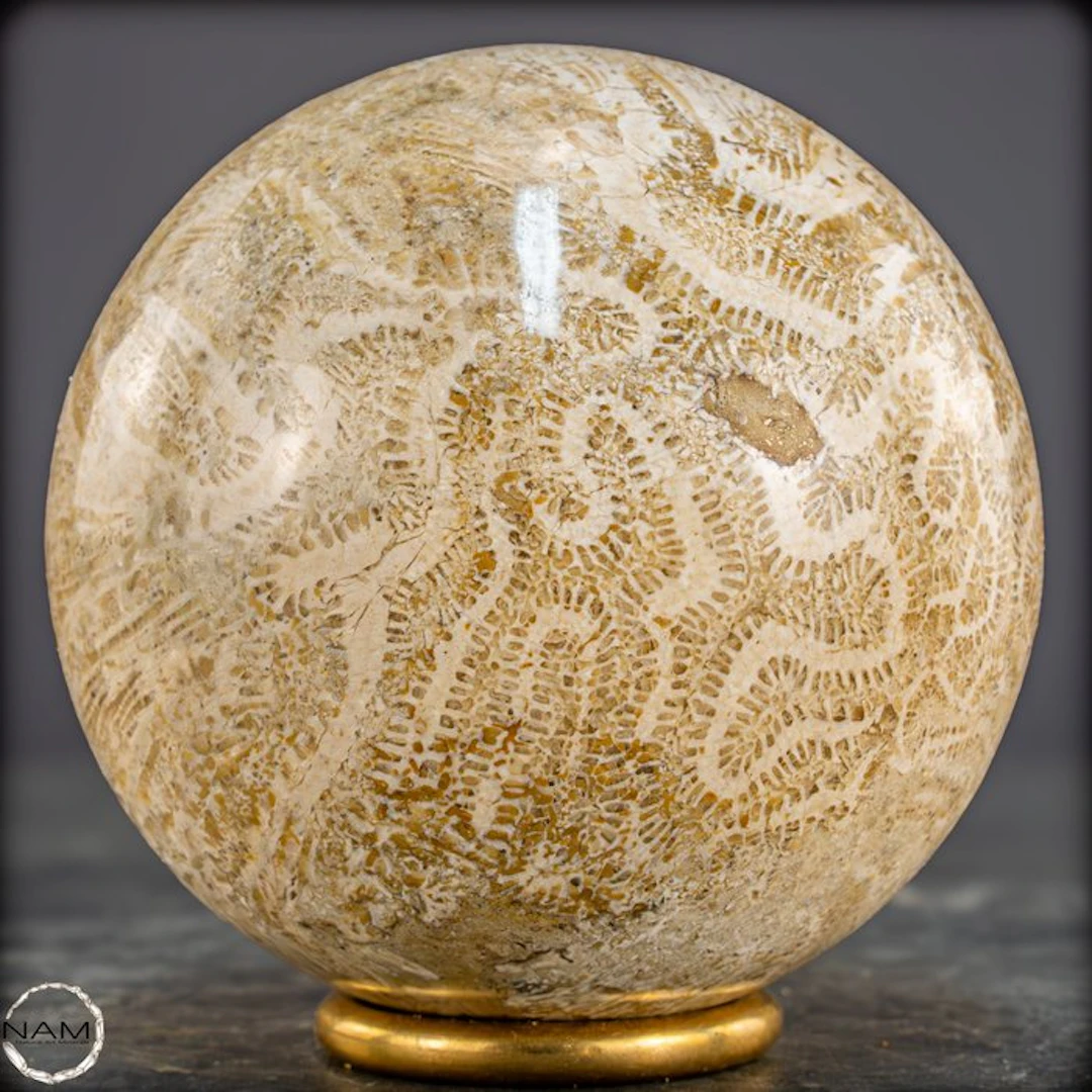 Fossil Coral Sphere - Natural coral of collector quality.- 818.95 g