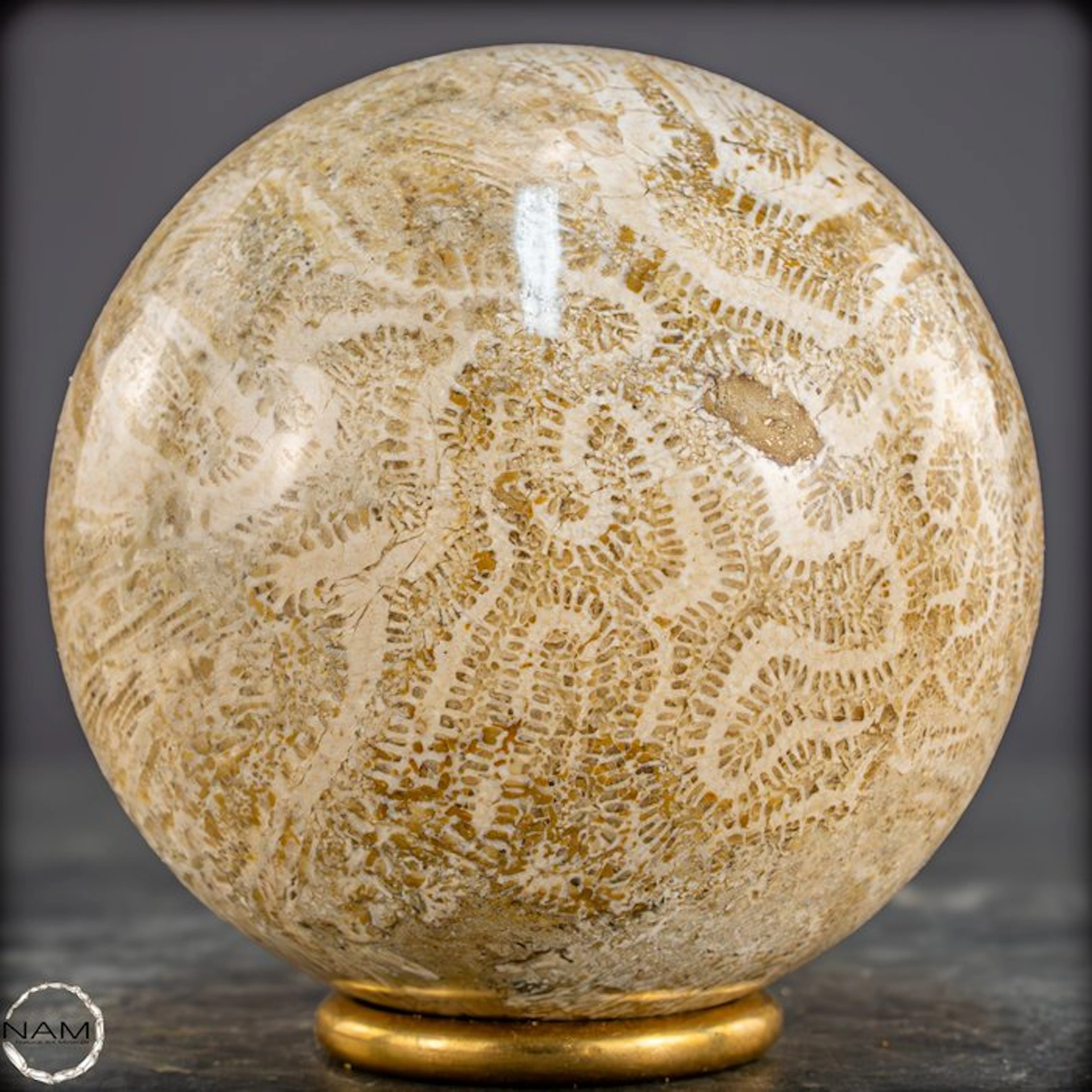 Fossil Coral Sphere - Natural coral of collector quality.- 818.95 g
