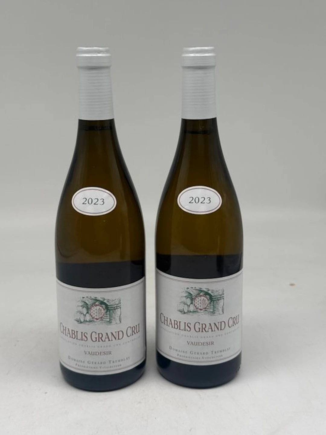 2023 Gerard Tremblay "Vaudésir" - Chablis Grand Cru - 2 Bottles (0.75L)
