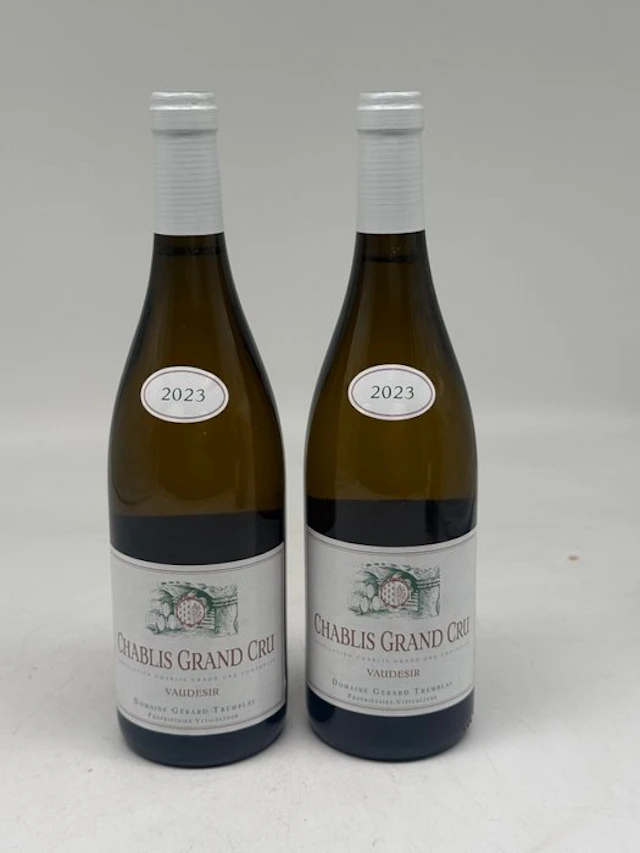 2023 Gerard Tremblay "Vaudésir" - Chablis Grand Cru - 2 Bottles (0.75L)
