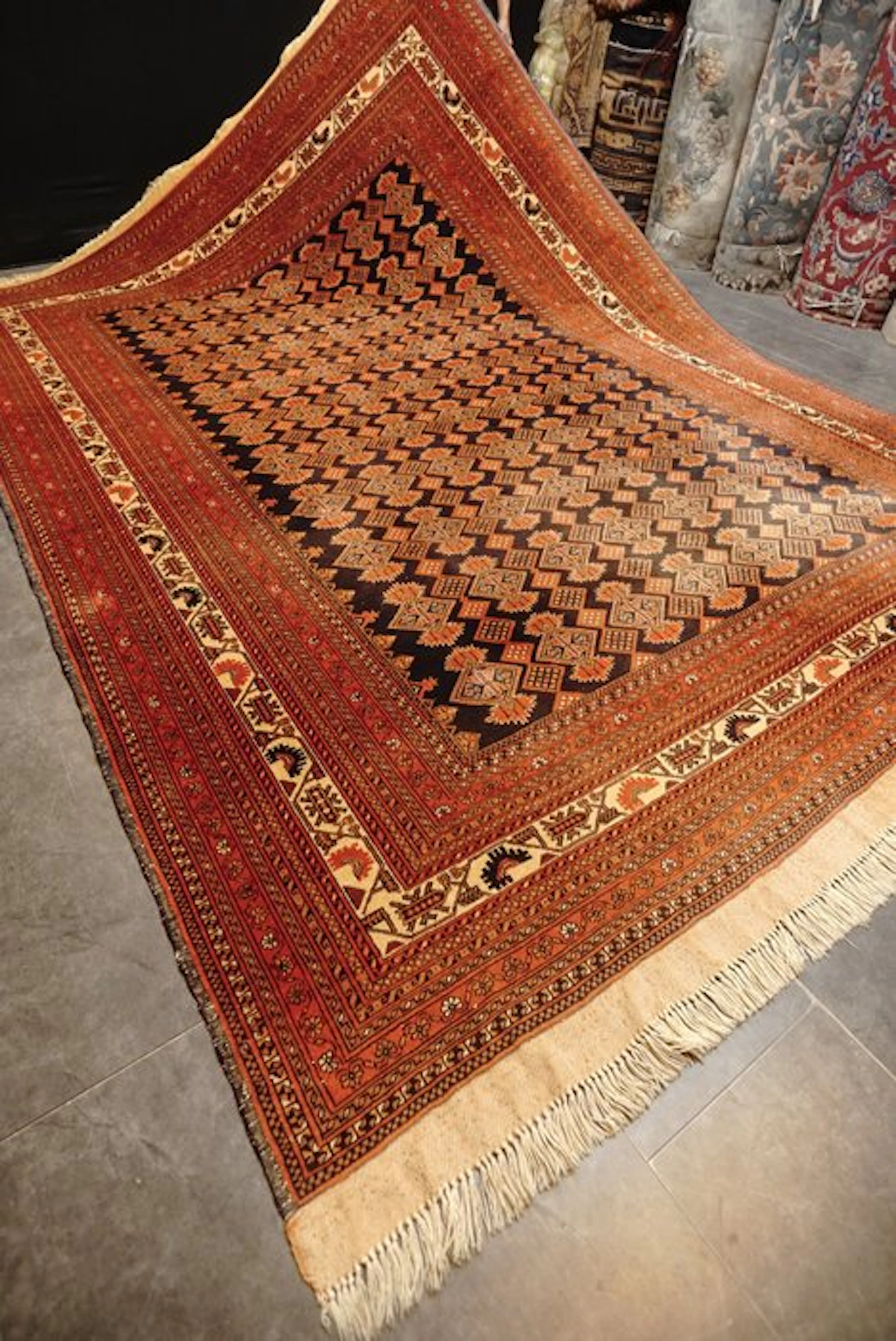 Afghan - Carpet - 367 cm - 253 cm