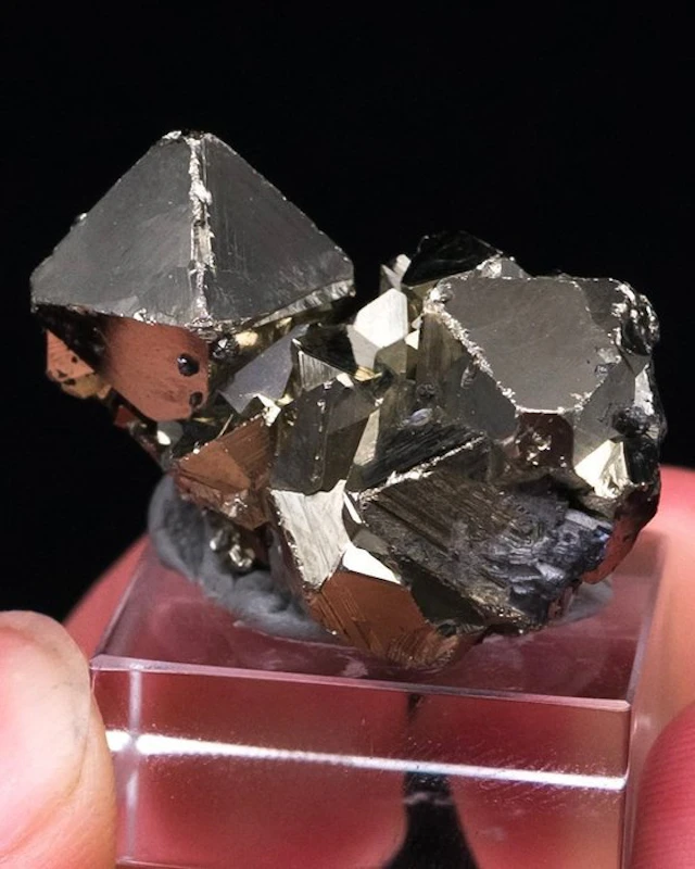 (PERUVIAN CLASSIC) GOLDEN PYRITE Specimen - Height: 3 cm...