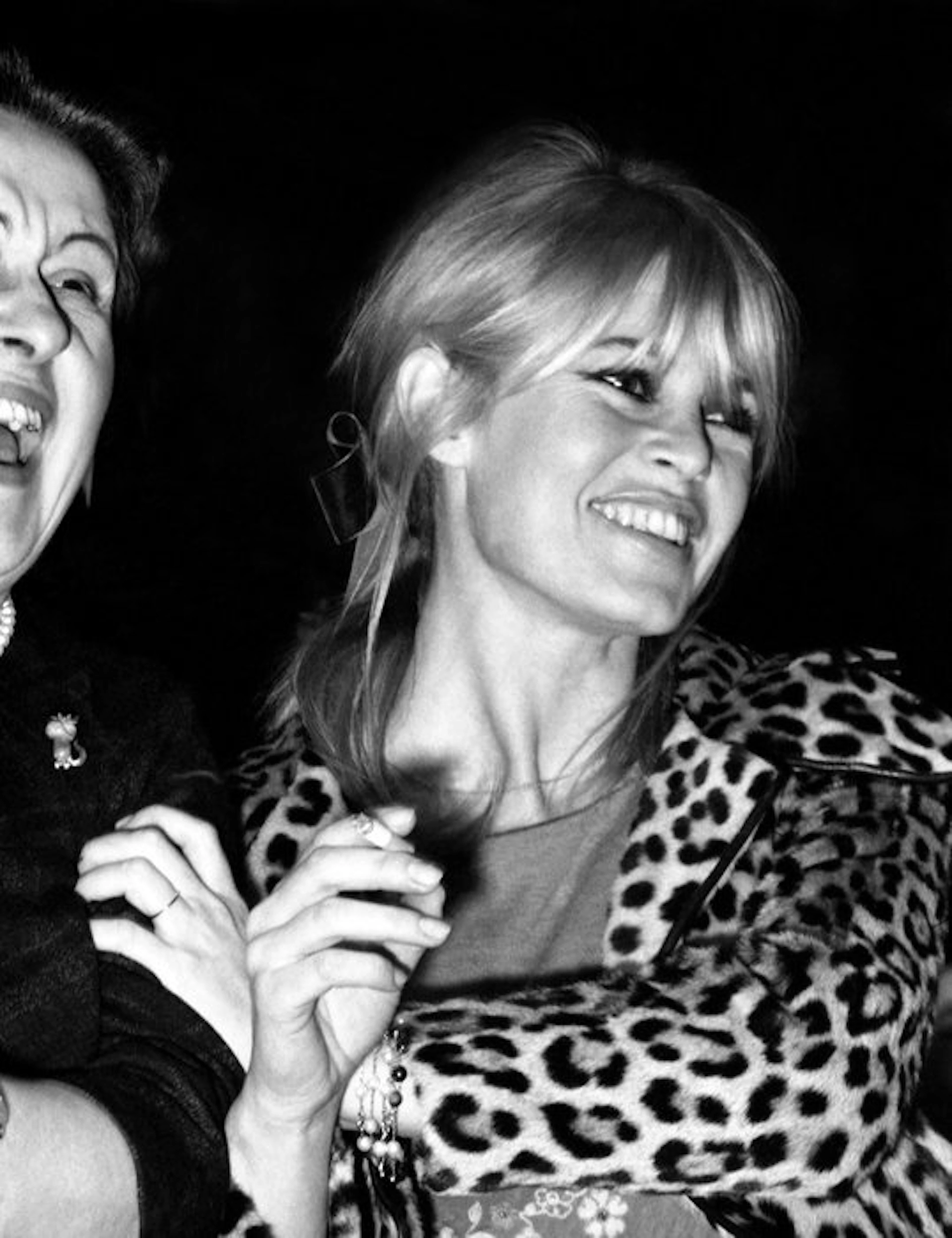 Daniel Cande - Brigitte Bardot