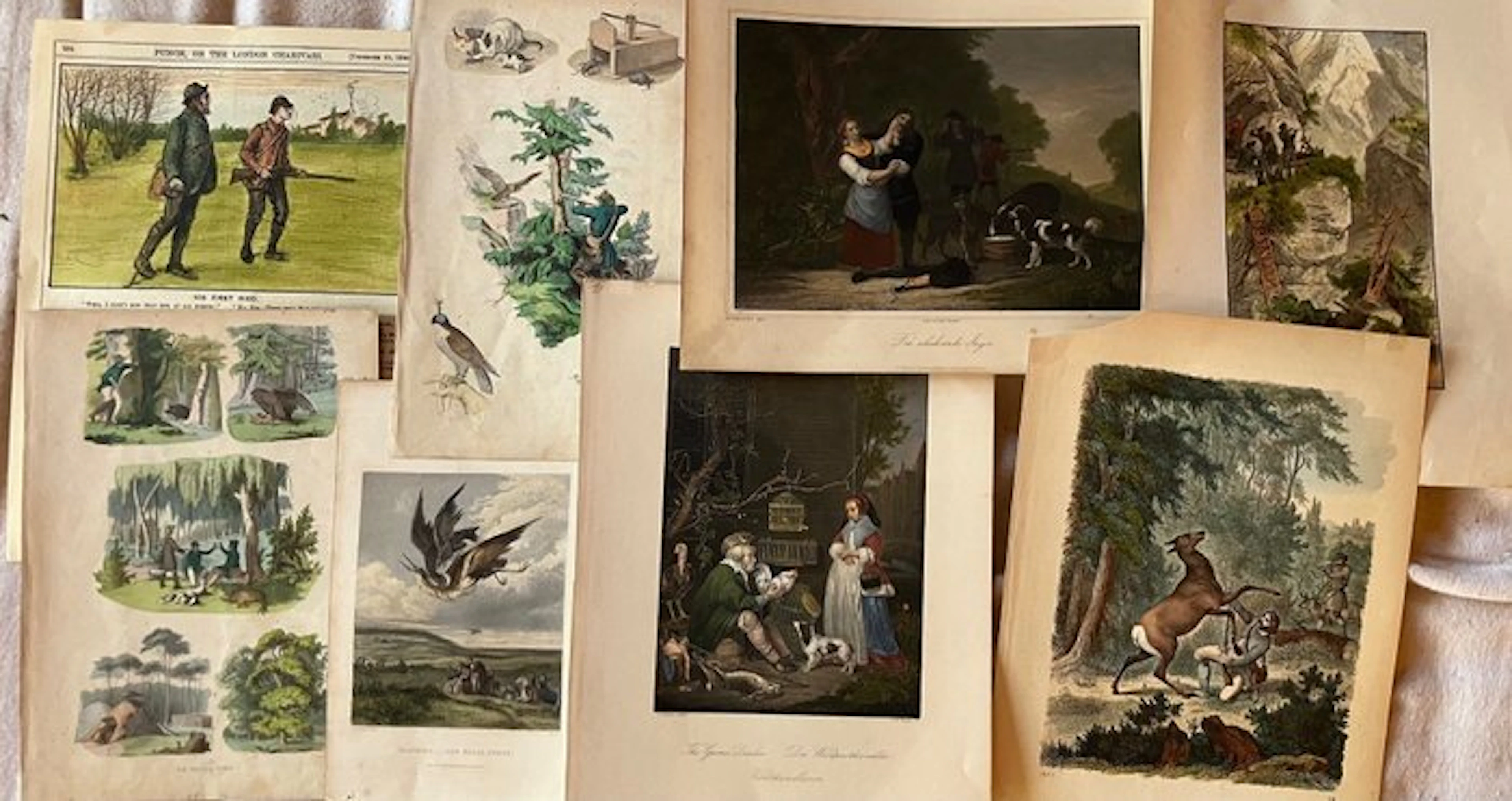 Hunting - 8 coloured etchings - 1850-1880