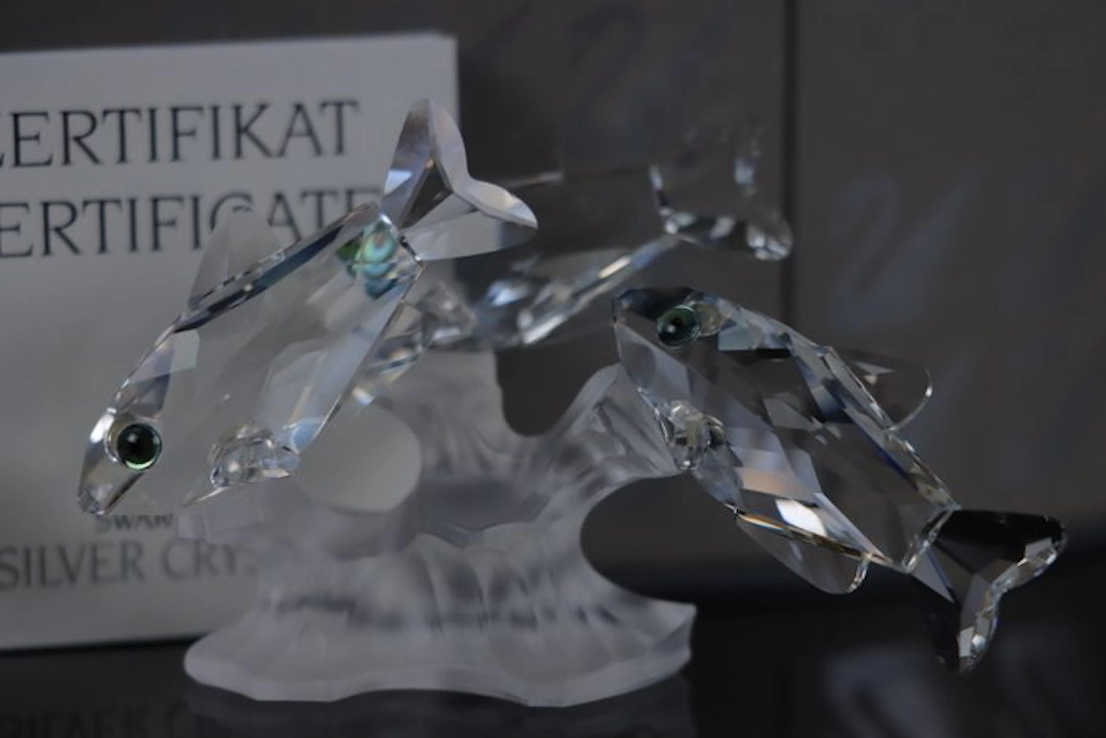 Swarovski - Figure - Swarovski - Tropische Vissen (Boxed...