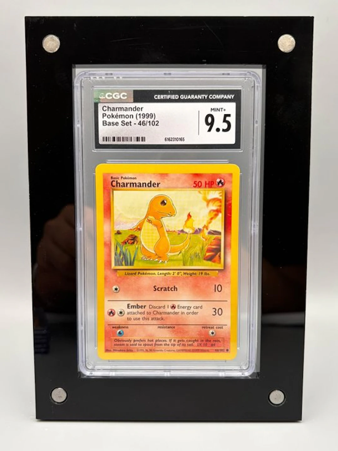 Pokémon Graded card - Charmander - CGC 9.5 - WOTC - Base set