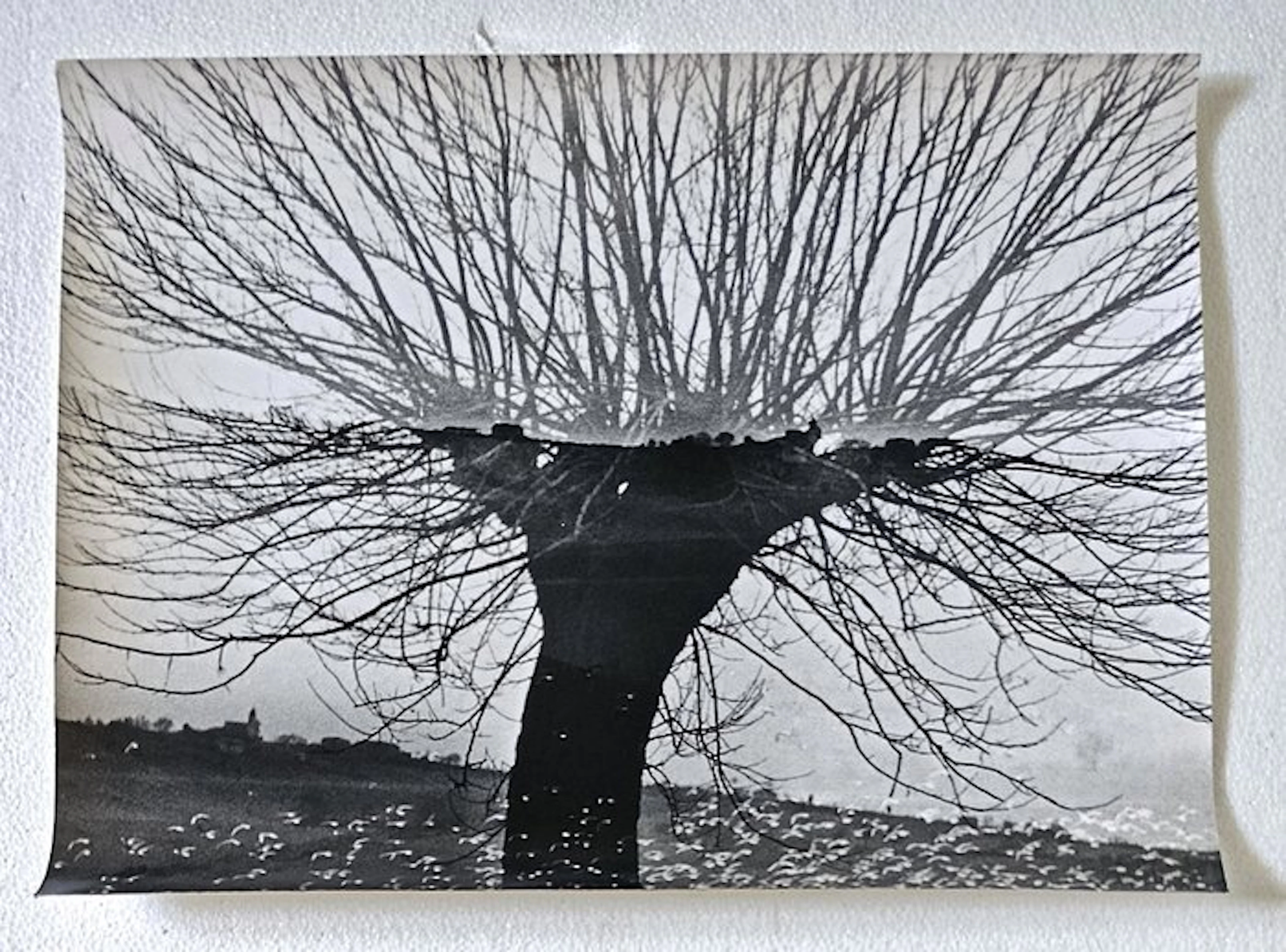 Mario Giacomelli (1925–2000) - Senza titolo-anni '80