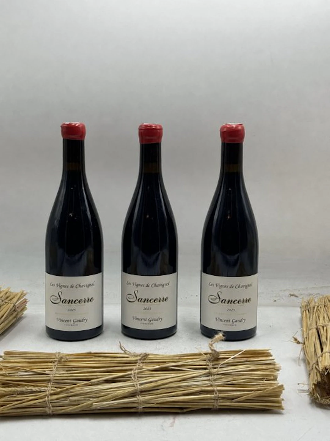 2023 Vincent Gaudry, Les Vignes de Chavignol - Sancerre - 3 Bottles (0.75L)