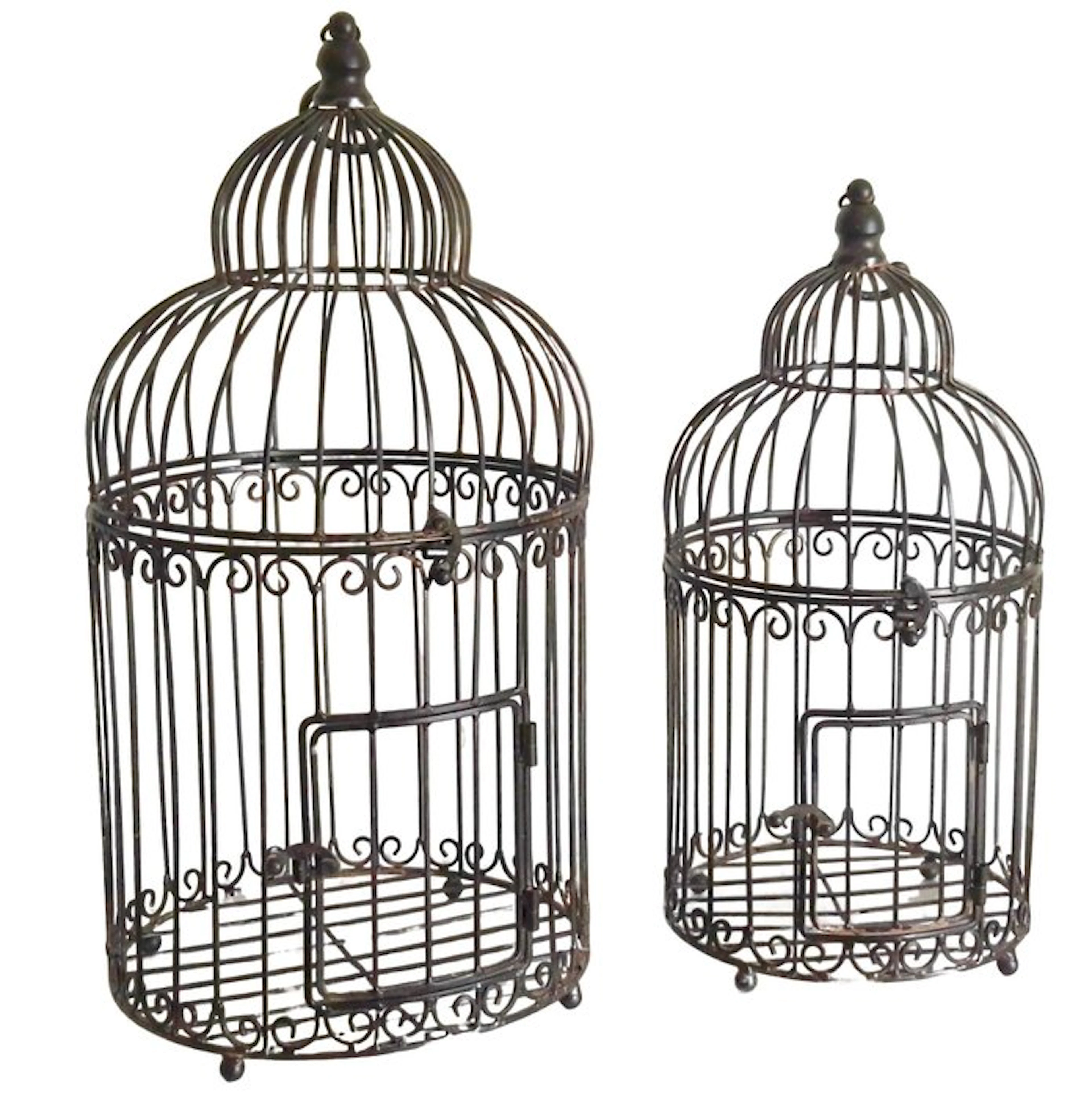 Birdcage (2) - Iron