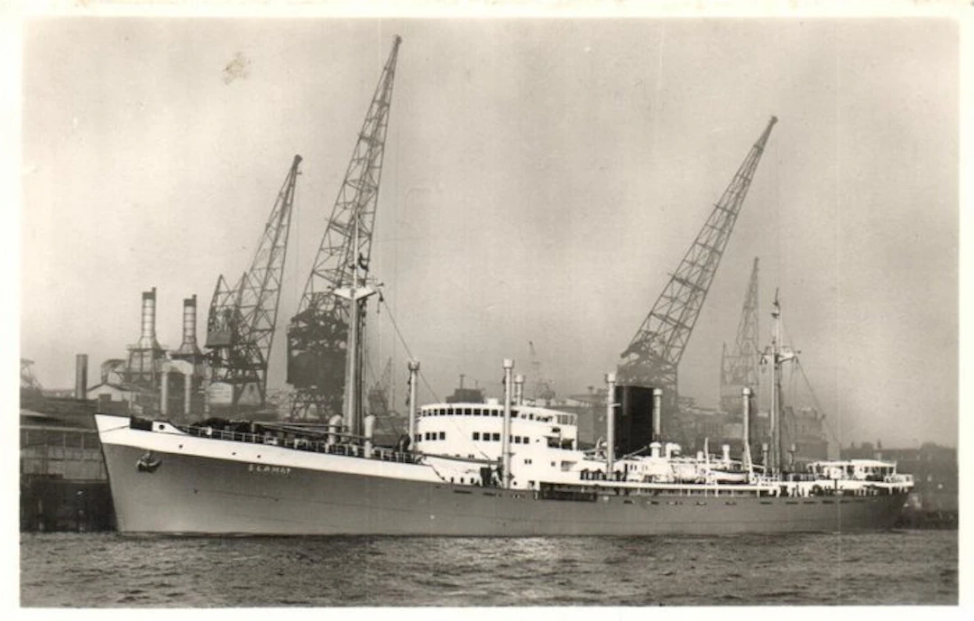 Seagoing ships - Merchant navy