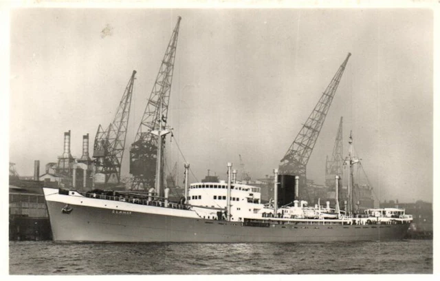 Seagoing ships - Merchant navy