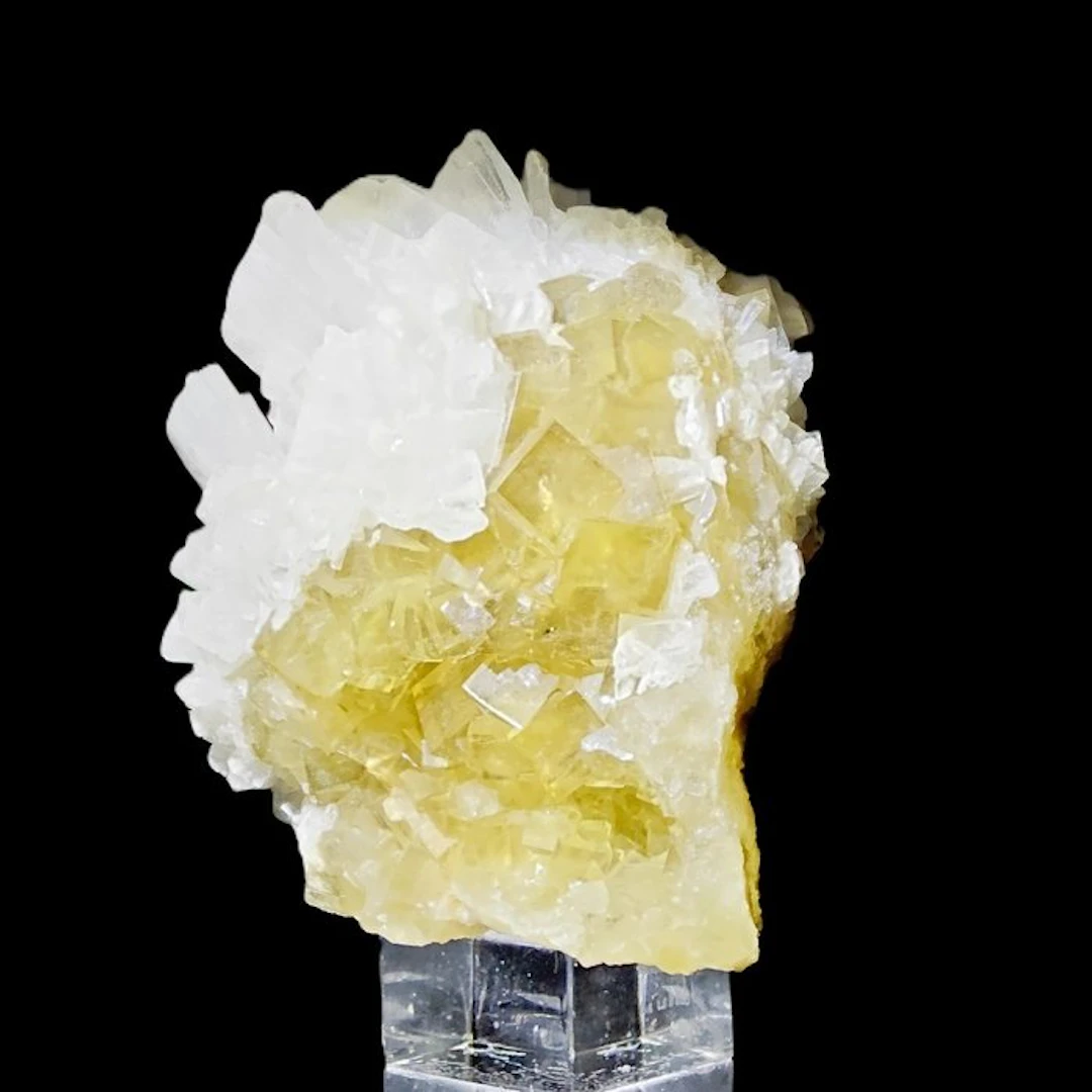 Splendid yellow fluorite with white barite