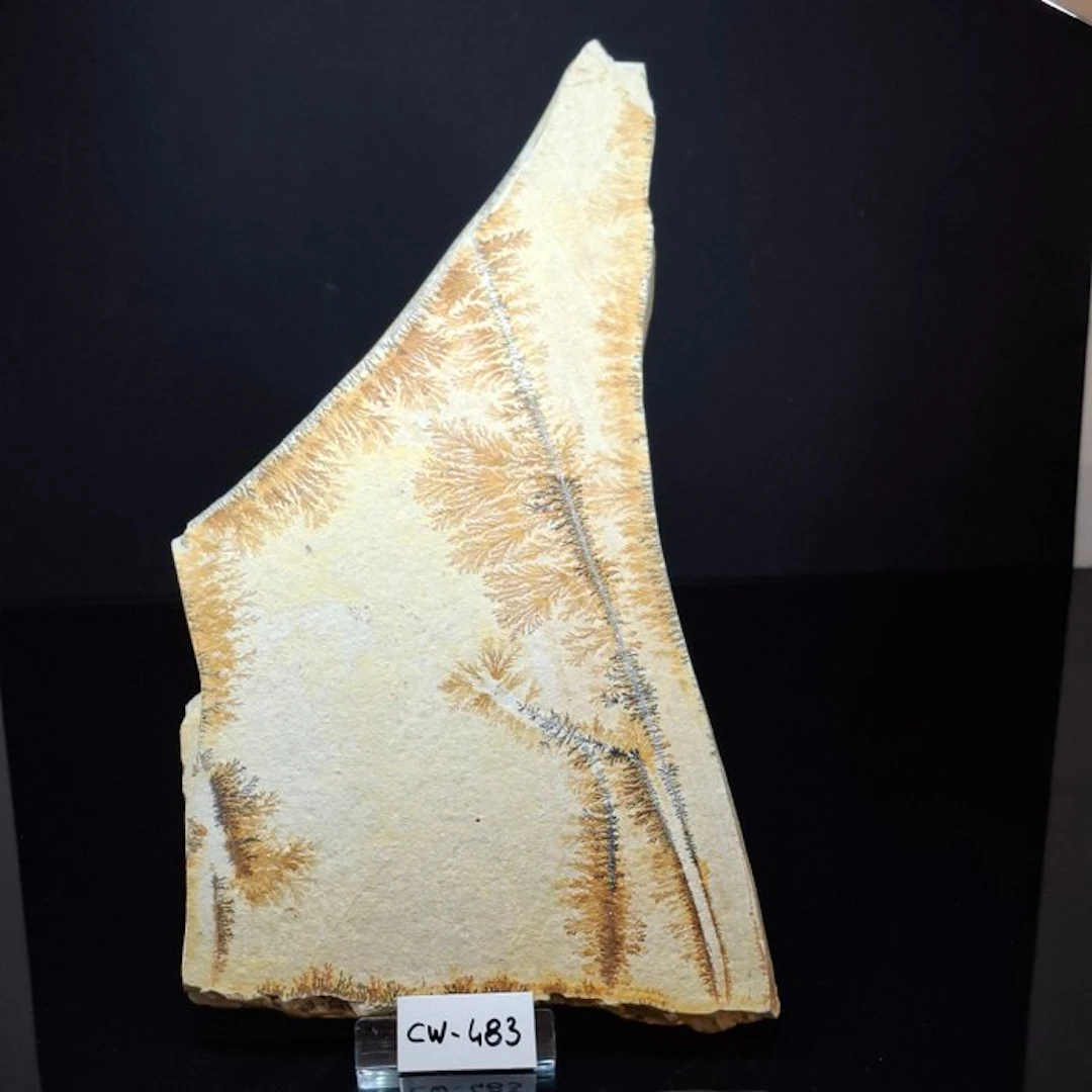 Dendrites of Psilomelane Slice - Height: 31 cm - Width: 18 cm- 1.52 kg - (1)