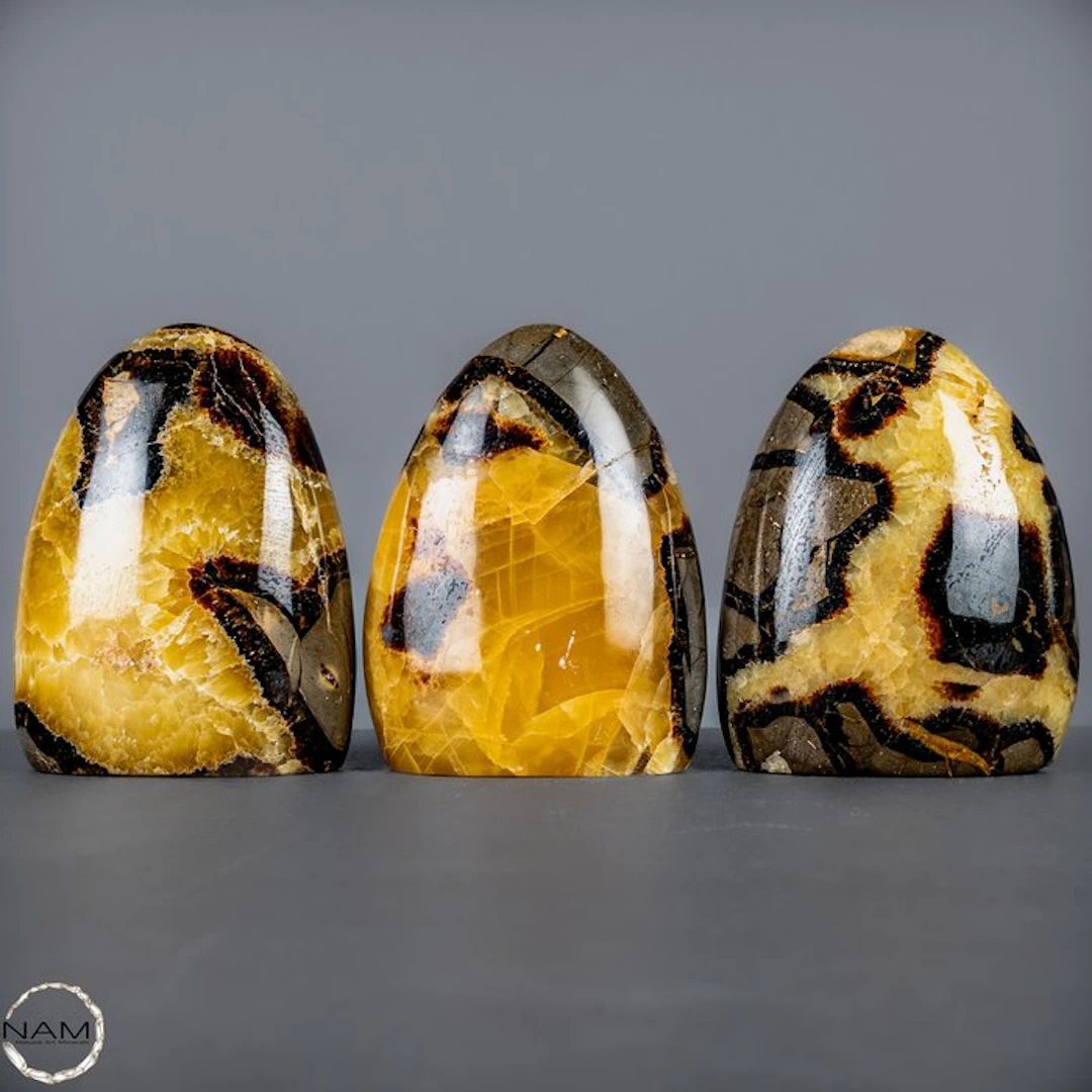 Septarian Set – Three unique freeform shapes made from natural septarian